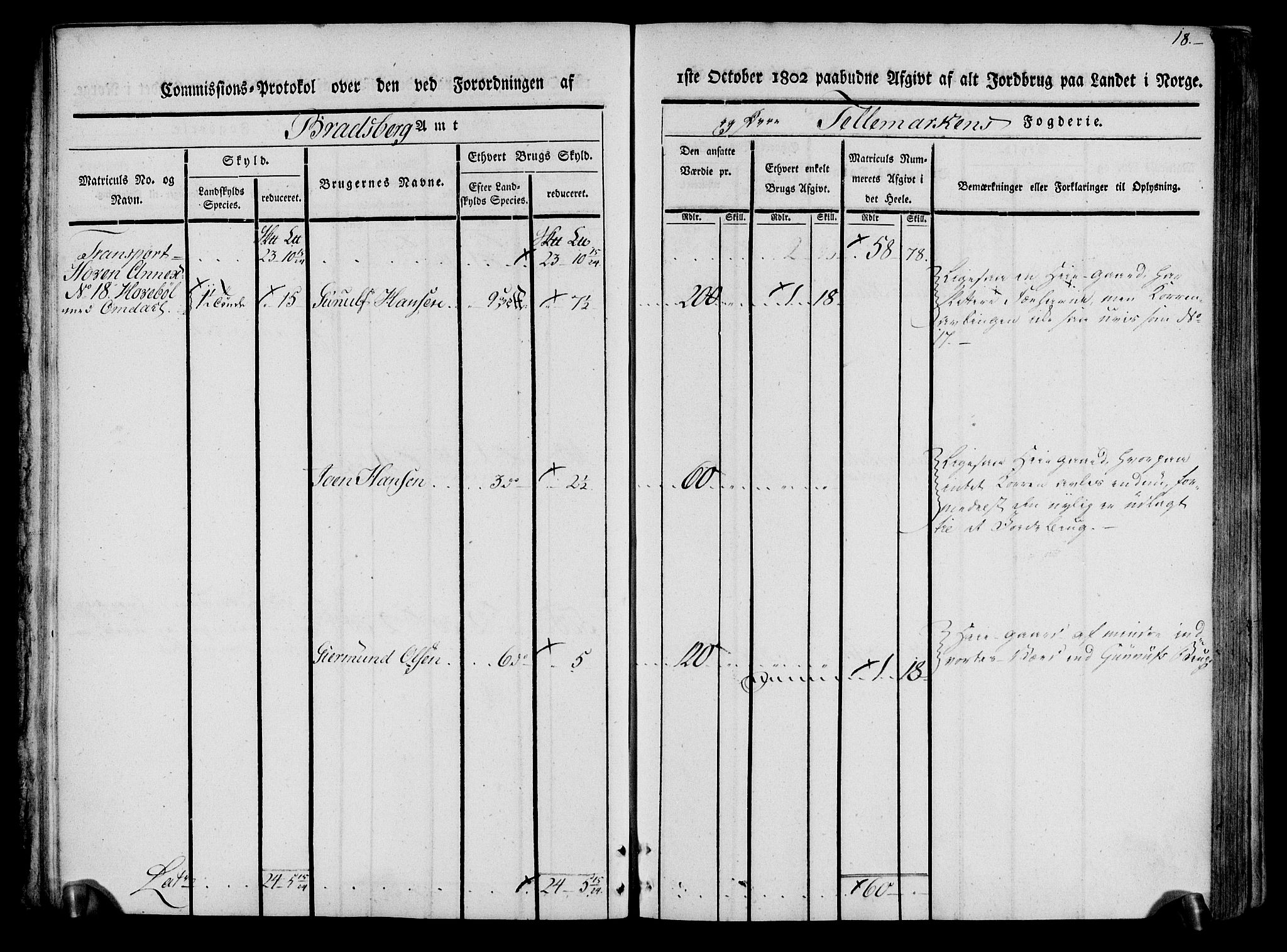 Rentekammeret inntil 1814, Realistisk ordnet avdeling, RA/EA-4070/N/Ne/Nea/L0074: Øvre Telemarken fogderi. Kommisjonsprotokoll for fogderiets østre del - Tinn, Hjartdal og Seljord prestegjeld., 1803, s. 18