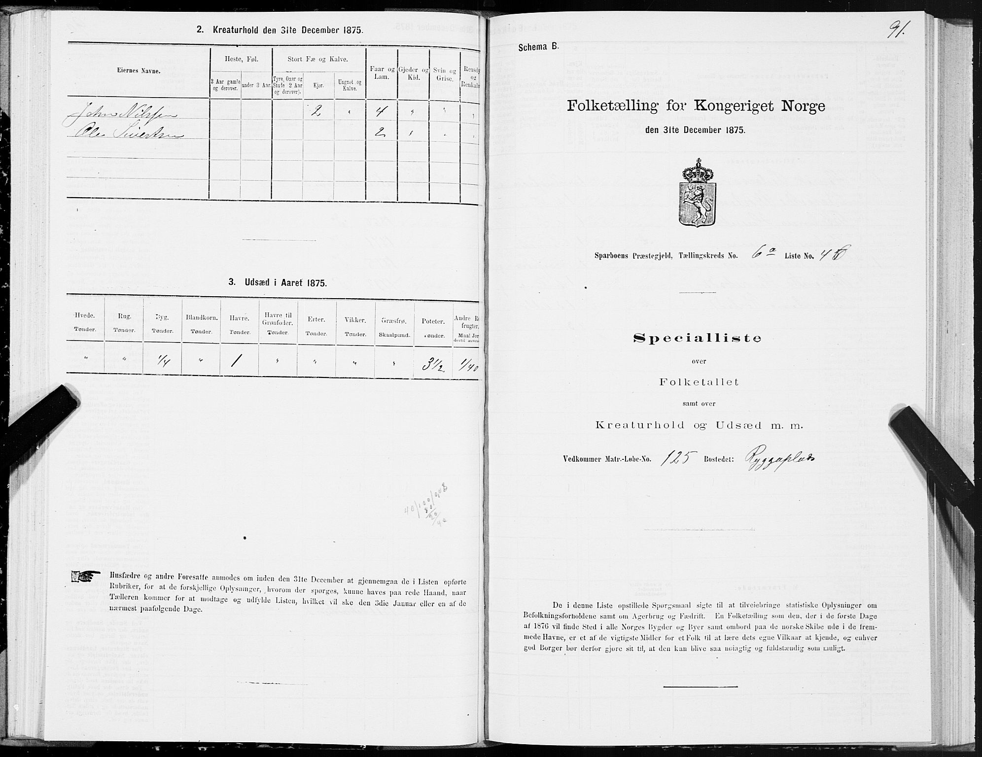 SAT, Folketelling 1875 for 1731P Sparbu prestegjeld, 1875, s. 3091