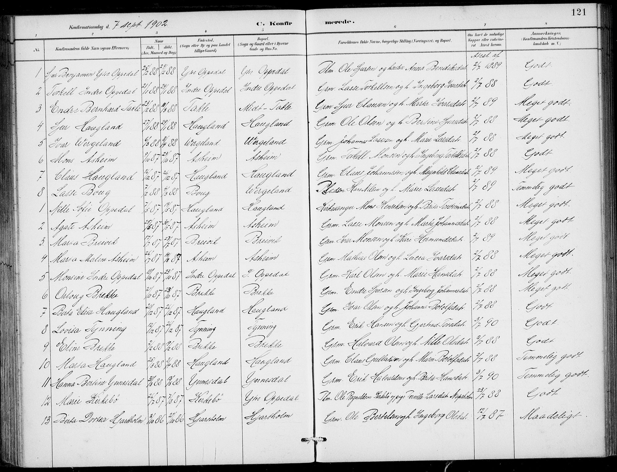Gulen sokneprestembete, AV/SAB-A-80201/H/Haa/Haac/L0002: Ministerialbok nr. C  2, 1882-1914, s. 121