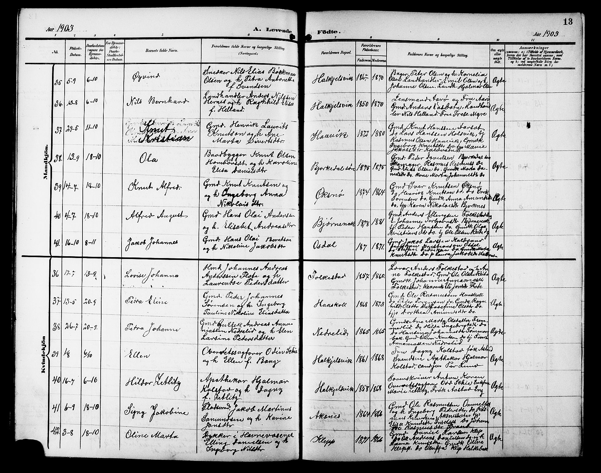 Ministerialprotokoller, klokkerbøker og fødselsregistre - Møre og Romsdal, AV/SAT-A-1454/511/L0159: Klokkerbok nr. 511C05, 1902-1920, s. 13