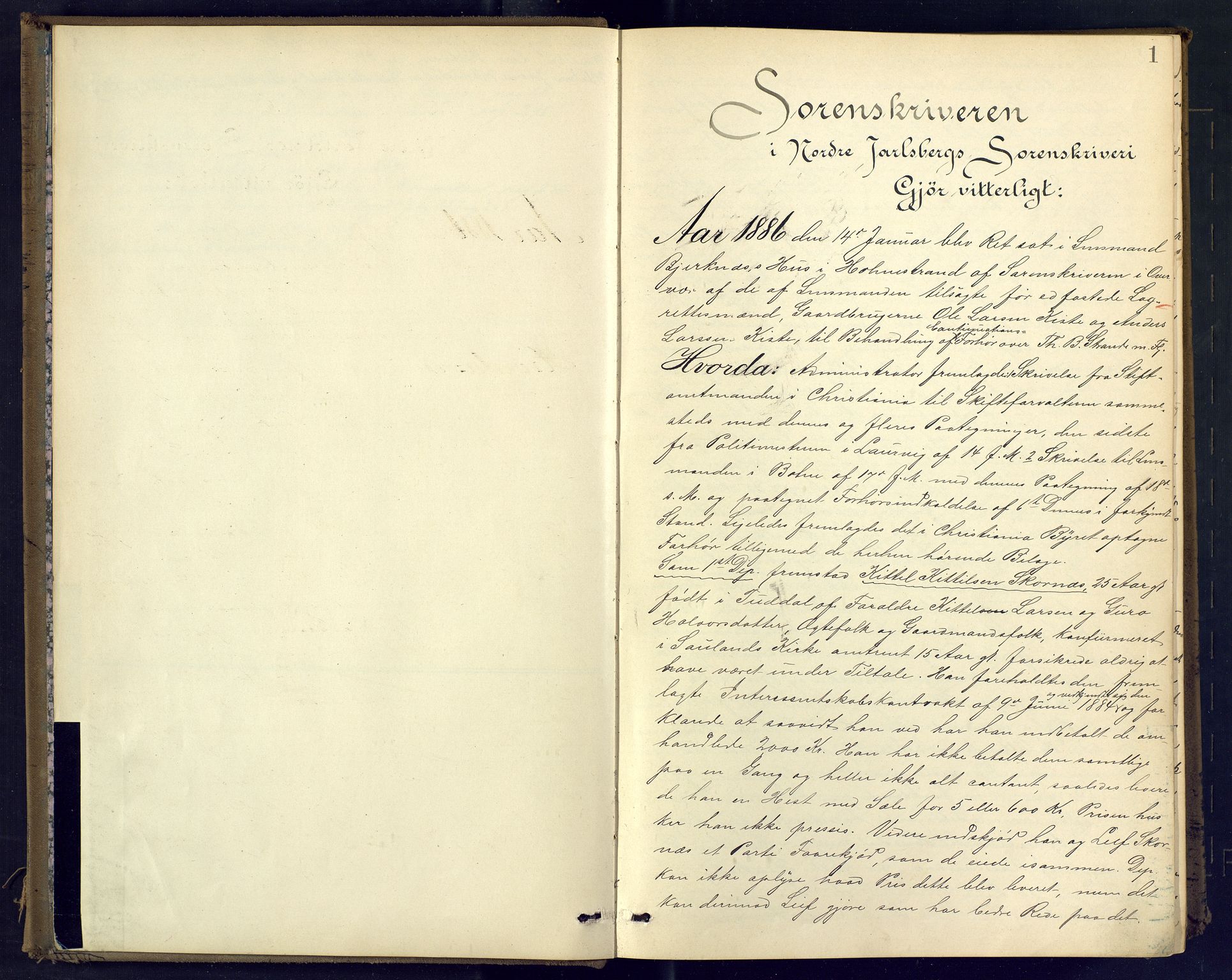 Nordre Jarlsberg sorenskriveri, SAKO/A-80/F/Fb/Fba/L0026: Ekstrarettsprotokoll, 1886-1891, s. 0-1