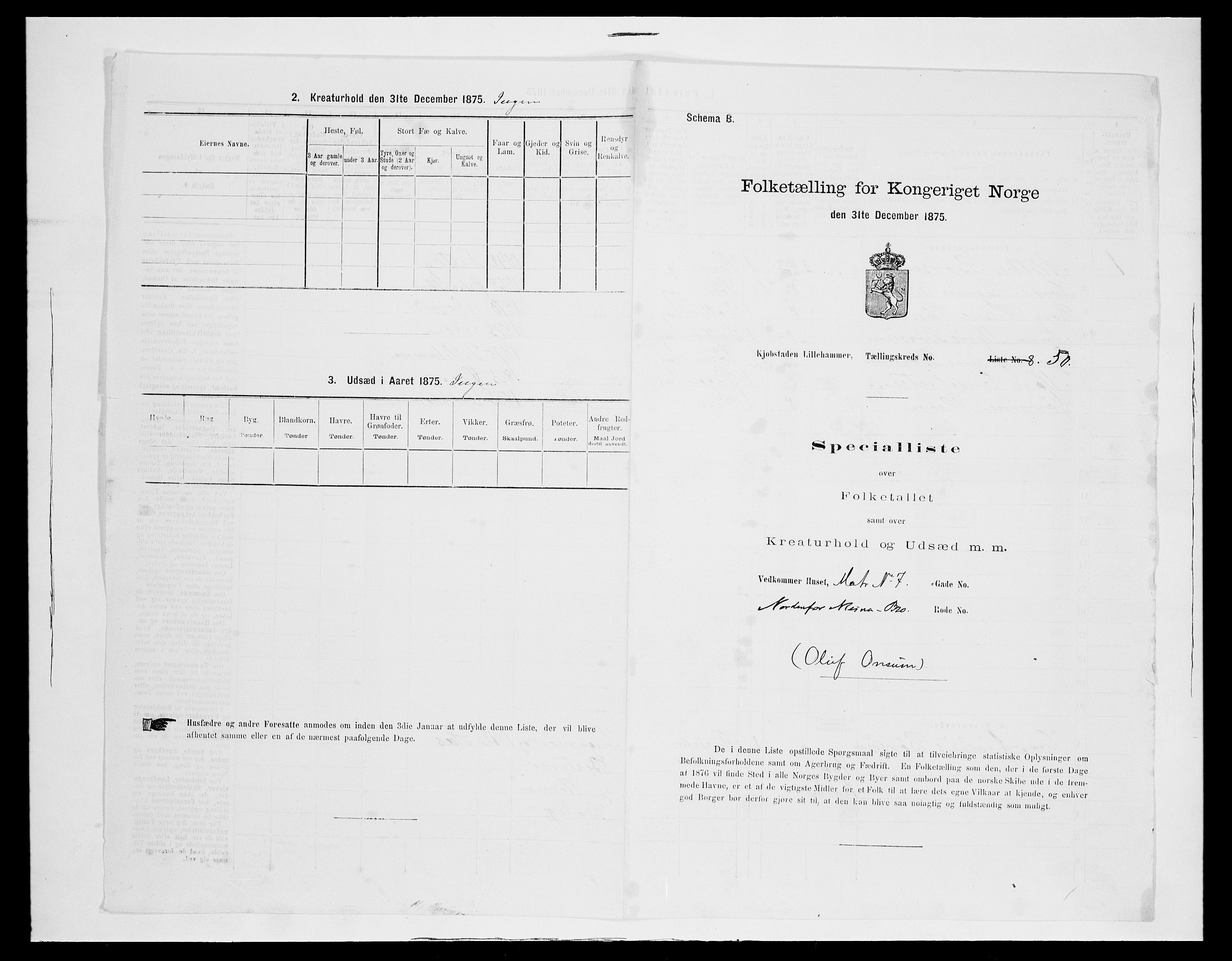 SAH, Folketelling 1875 for 0501B Fåberg prestegjeld, Lillehammer kjøpstad, 1875, s. 111