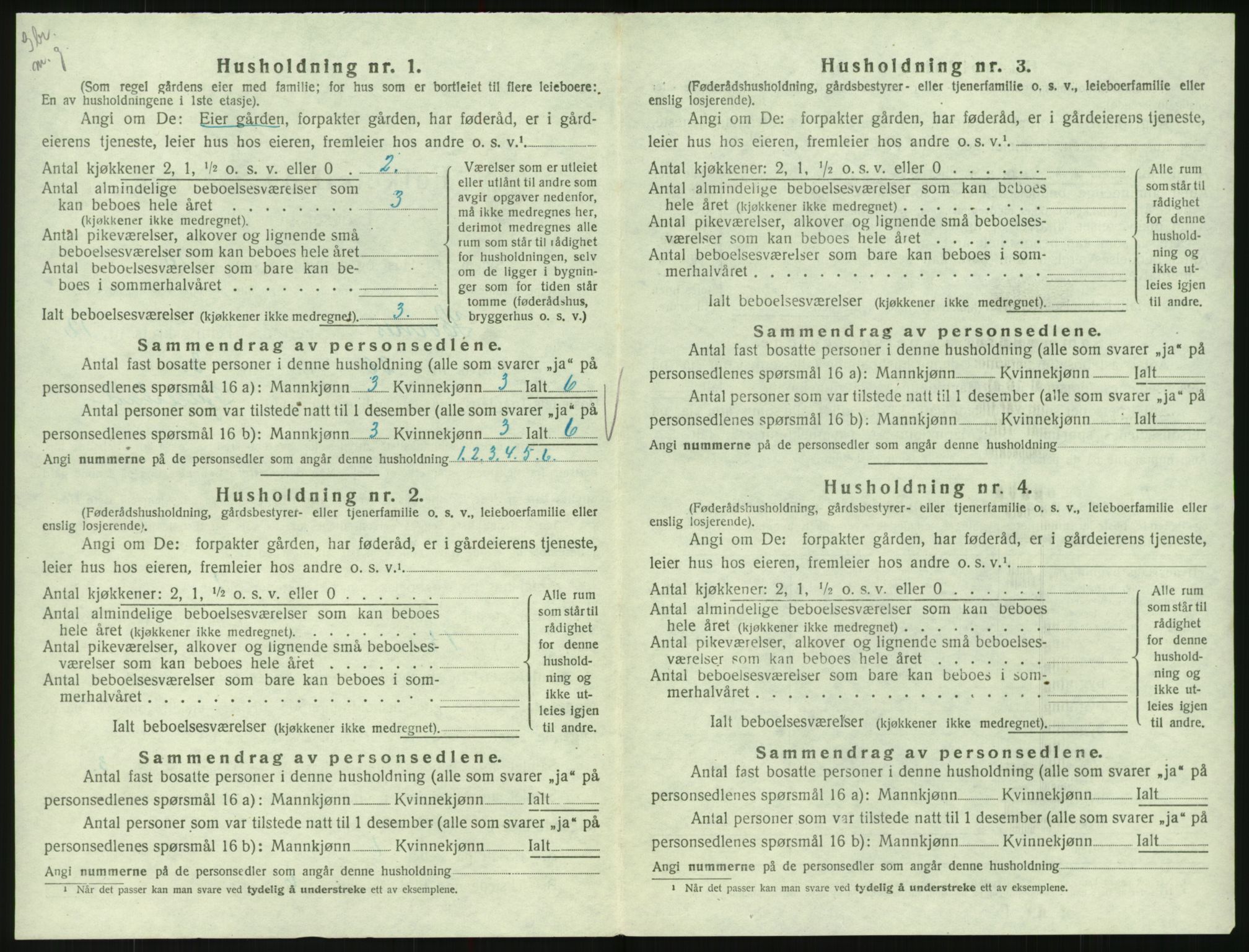 SAK, Folketelling 1920 for 0936 Hornnes herred, 1920, s. 492