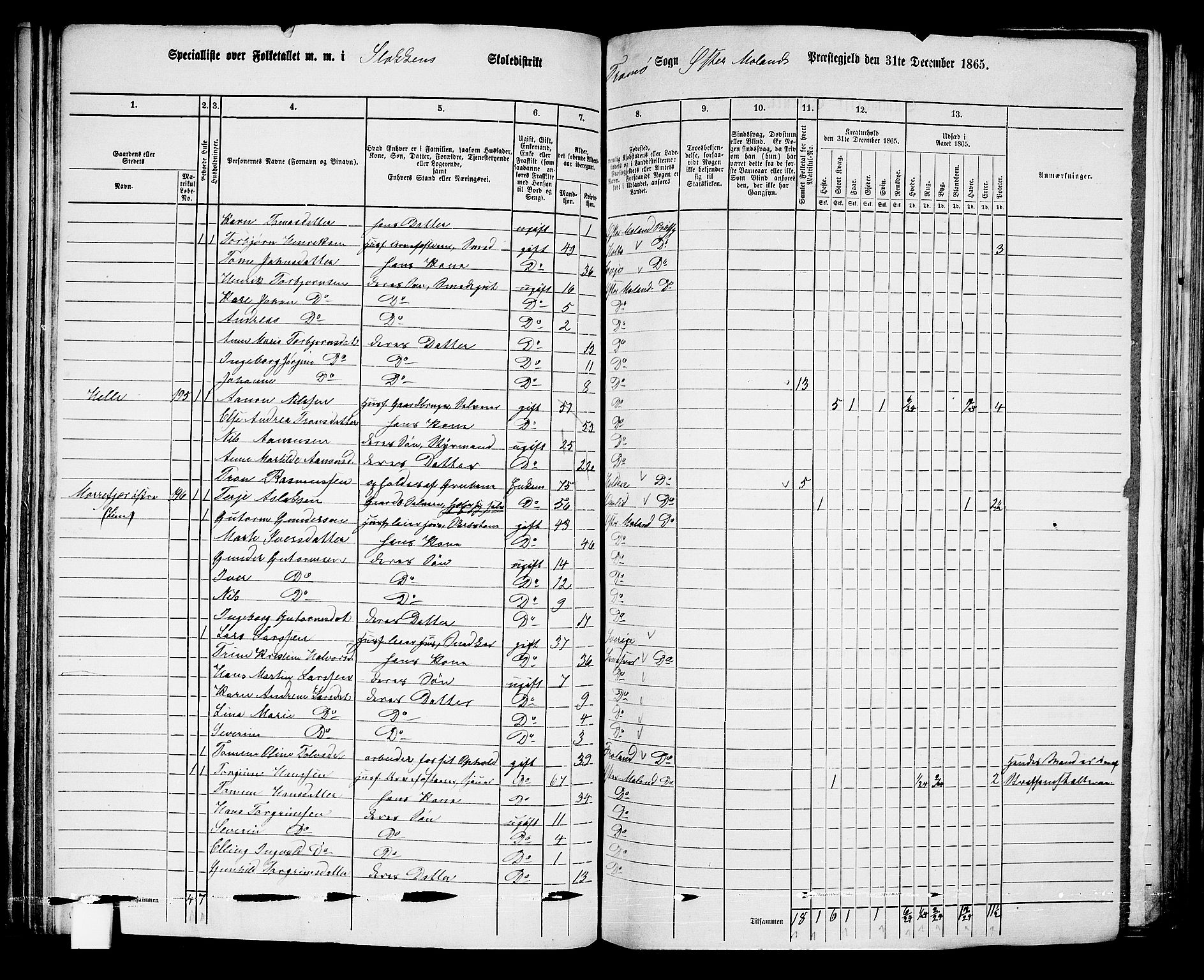 RA, Folketelling 1865 for 0918P Austre Moland prestegjeld, 1865, s. 127