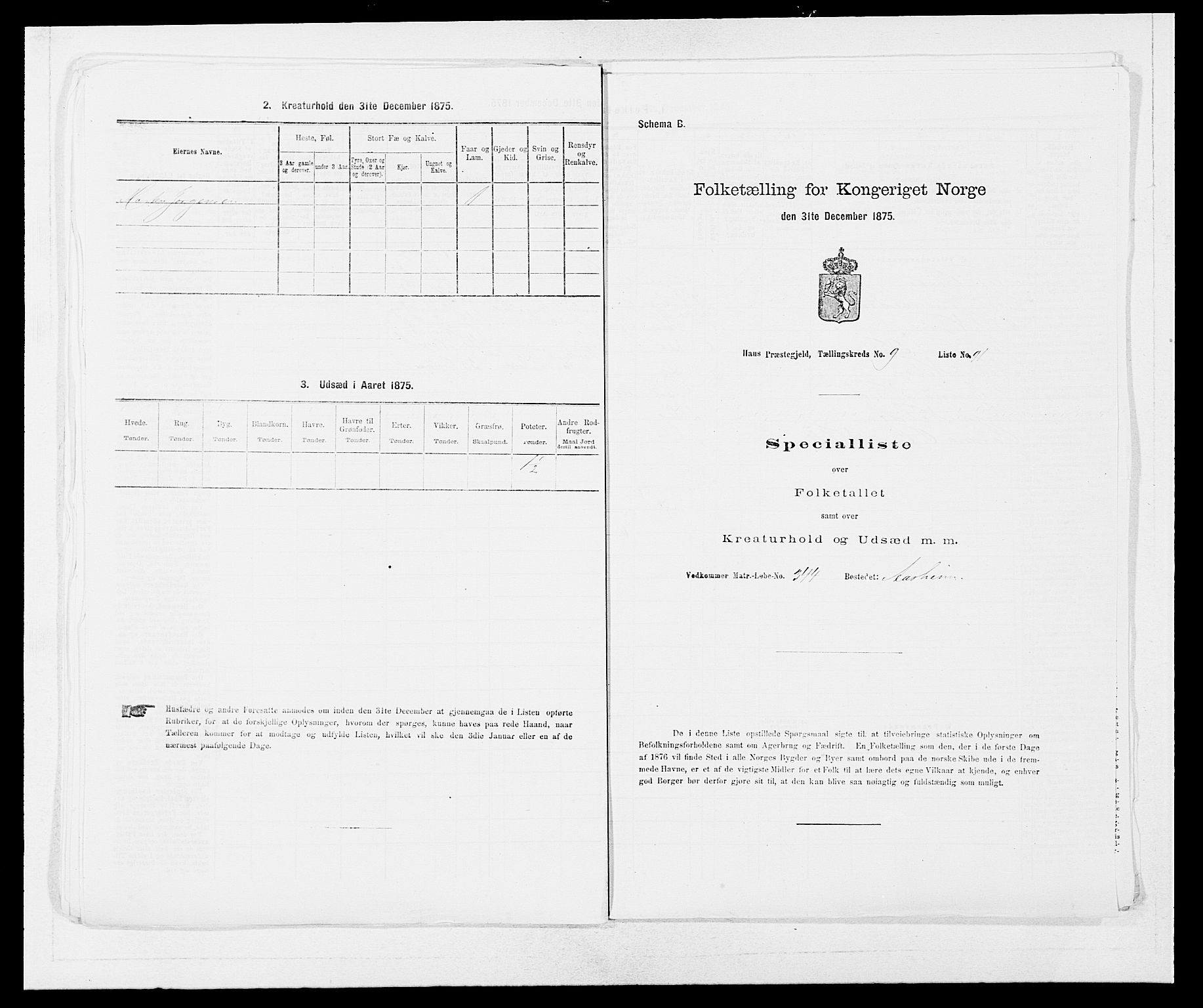 SAB, Folketelling 1875 for 1250P Haus prestegjeld, 1875, s. 1166