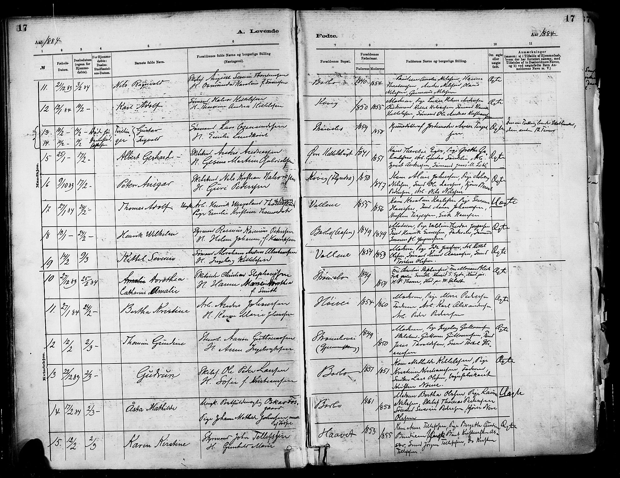 Barbu sokneprestkontor, AV/SAK-1111-0003/F/Fa/L0002: Ministerialbok nr. A 2, 1883-1898, s. 17