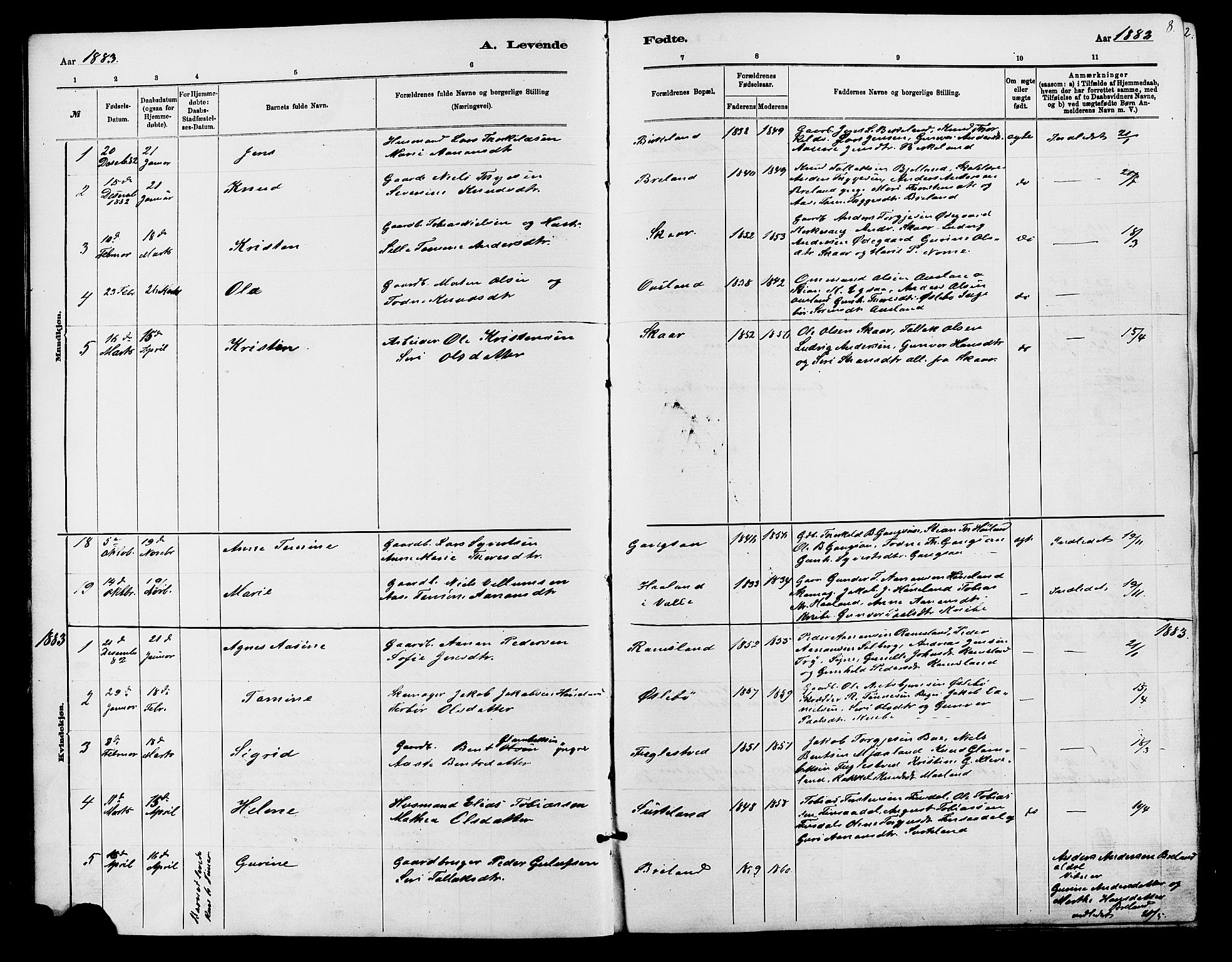 Holum sokneprestkontor, AV/SAK-1111-0022/F/Fb/Fbc/L0003: Klokkerbok nr. B 3, 1882-1908, s. 8
