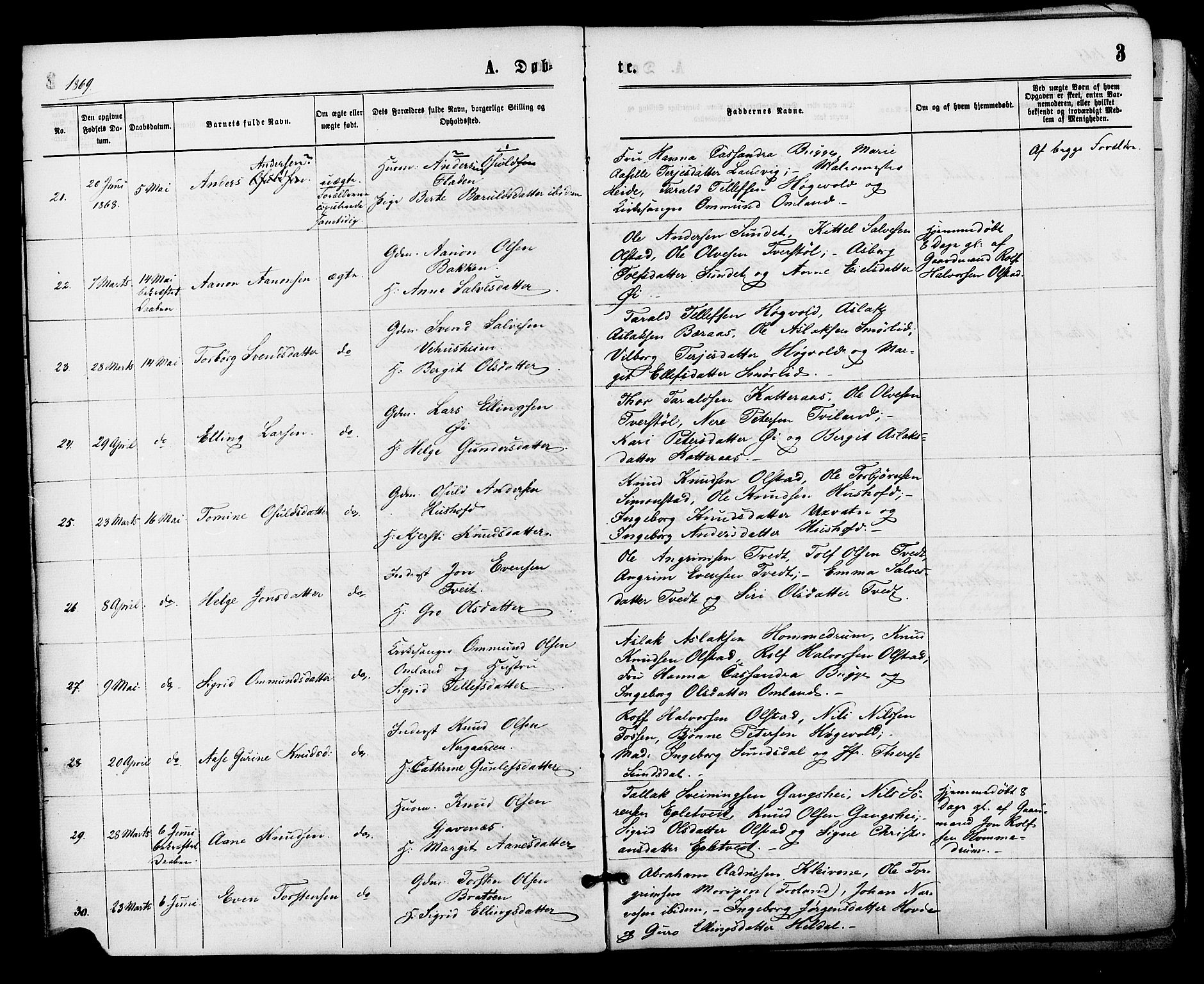 Åmli sokneprestkontor, AV/SAK-1111-0050/F/Fa/Fac/L0009: Ministerialbok nr. A 9 /1, 1869-1884, s. 3