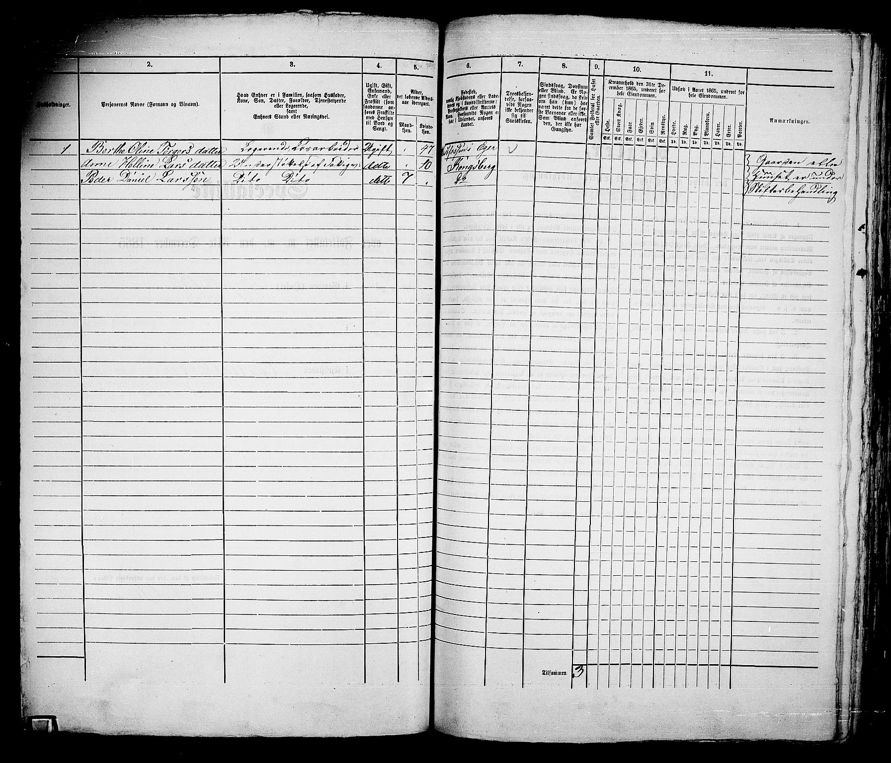 RA, Folketelling 1865 for 0604B Kongsberg prestegjeld, Kongsberg kjøpstad, 1865, s. 247