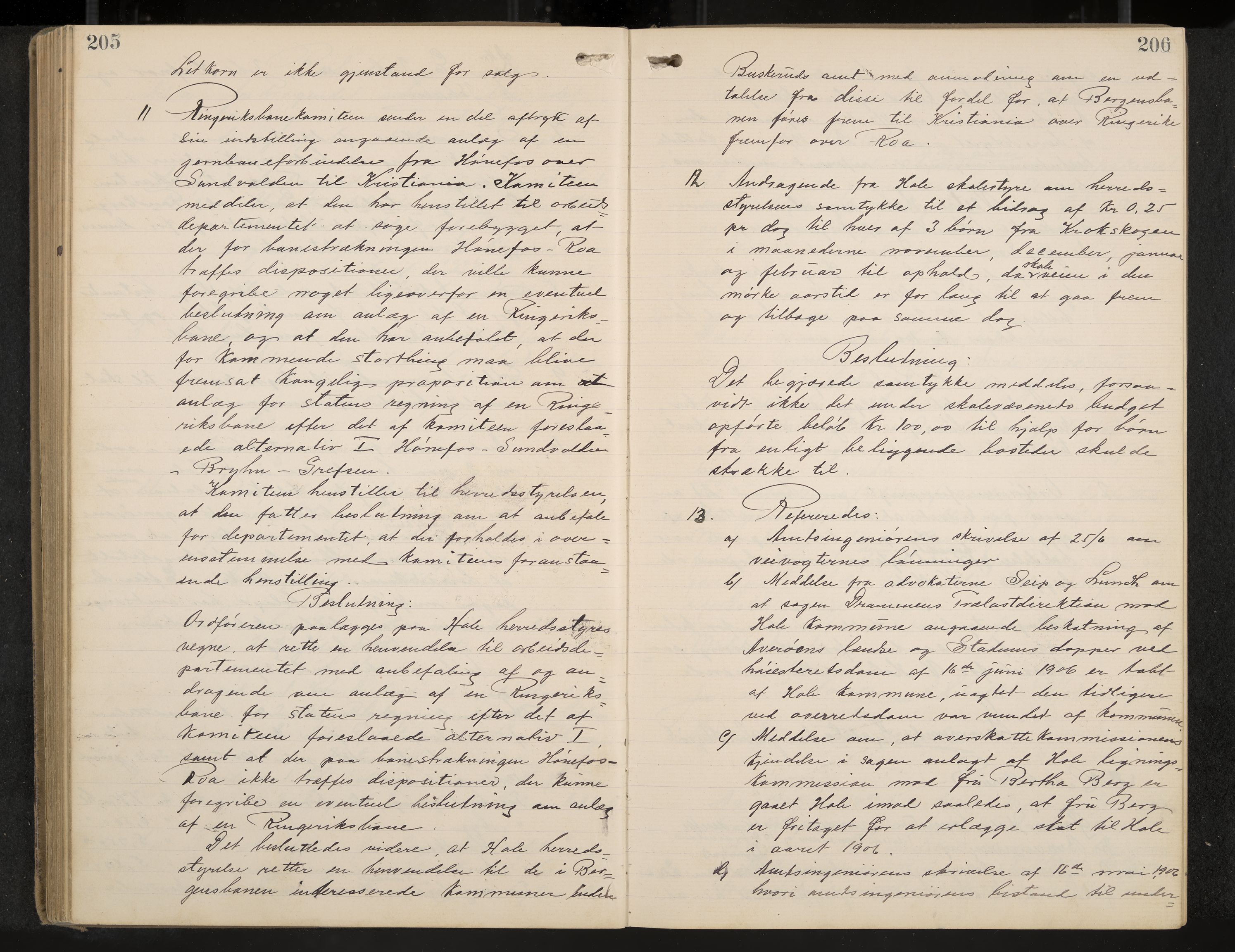 Hole formannskap og sentraladministrasjon, IKAK/0612021-1/A/Aa/L0004: Møtebok med register, 1902-1910, s. 205-206