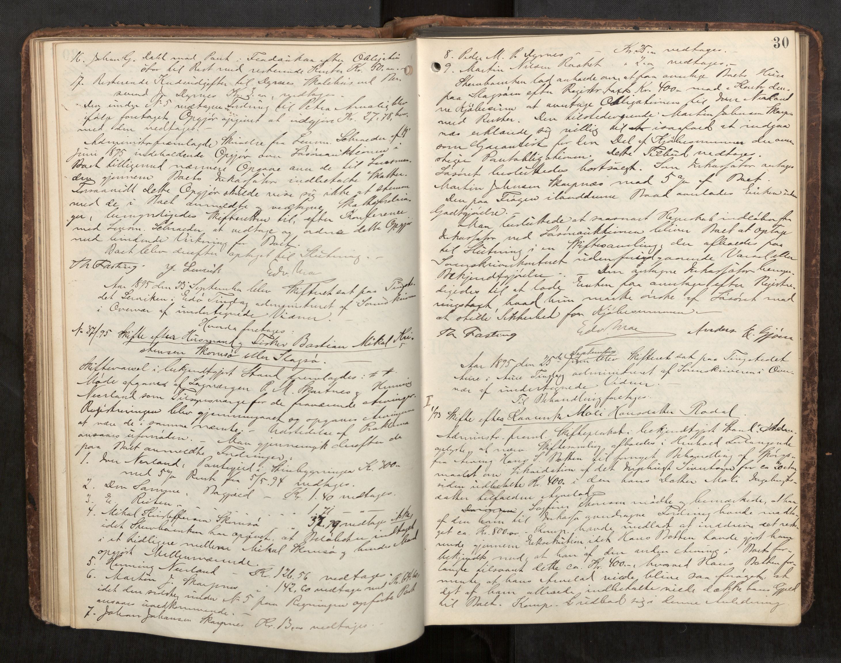 Nordmøre sorenskriveri, AV/SAT-A-4132/1/3/3B/L0006: Forhandlingsprotokoll nr. 06, 1894-1900, s. 30