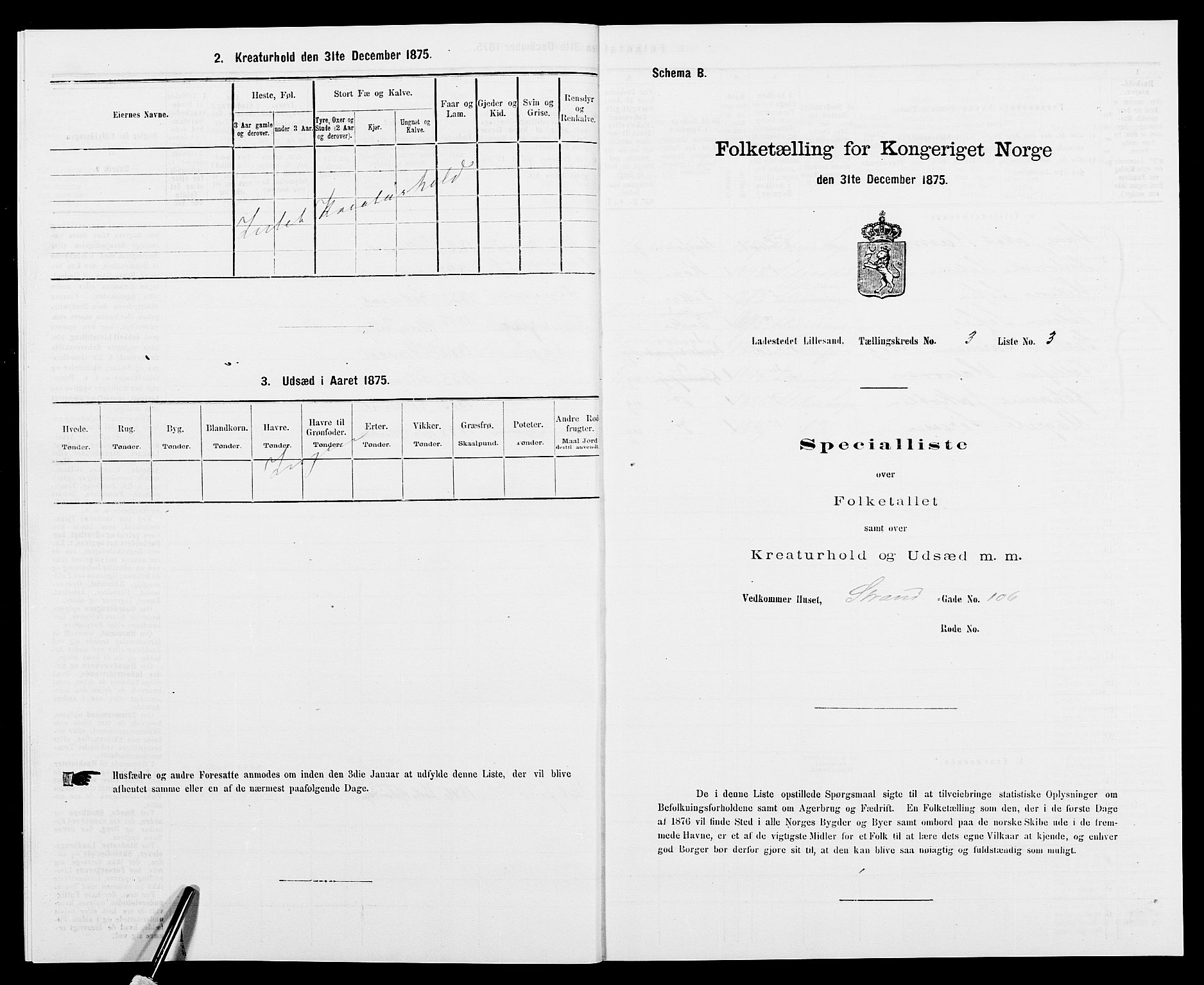 SAK, Folketelling 1875 for 0905B Vestre Moland prestegjeld, Lillesand ladested, 1875, s. 208