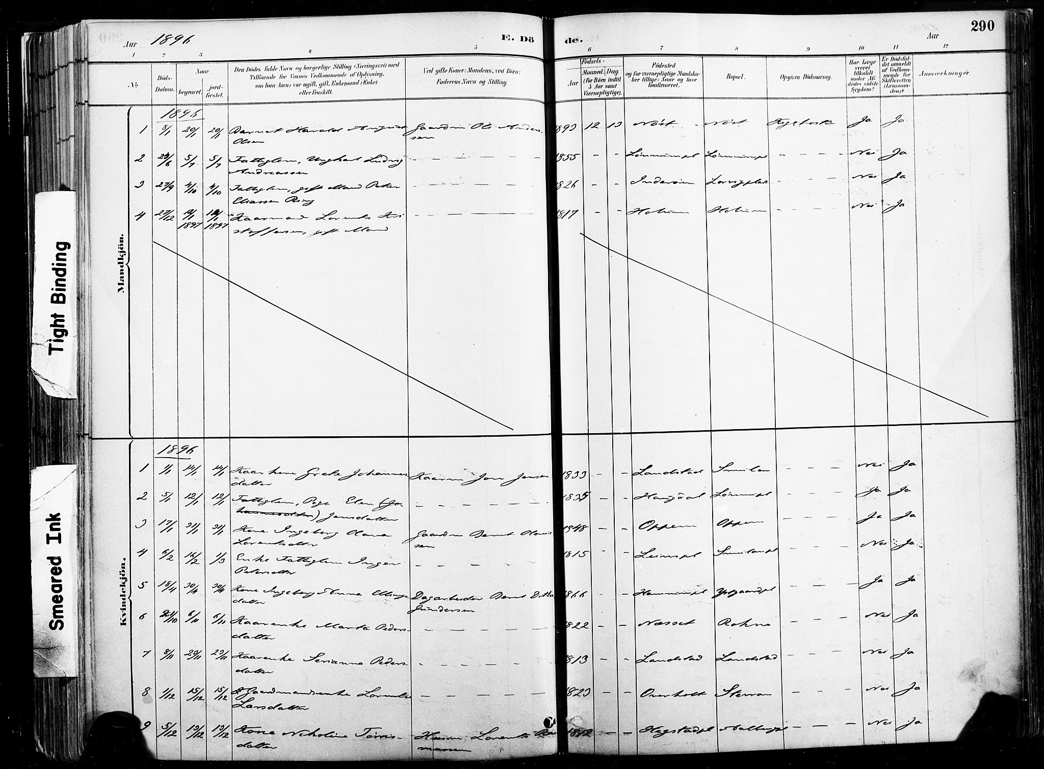 Ministerialprotokoller, klokkerbøker og fødselsregistre - Nord-Trøndelag, SAT/A-1458/735/L0351: Ministerialbok nr. 735A10, 1884-1908, s. 290