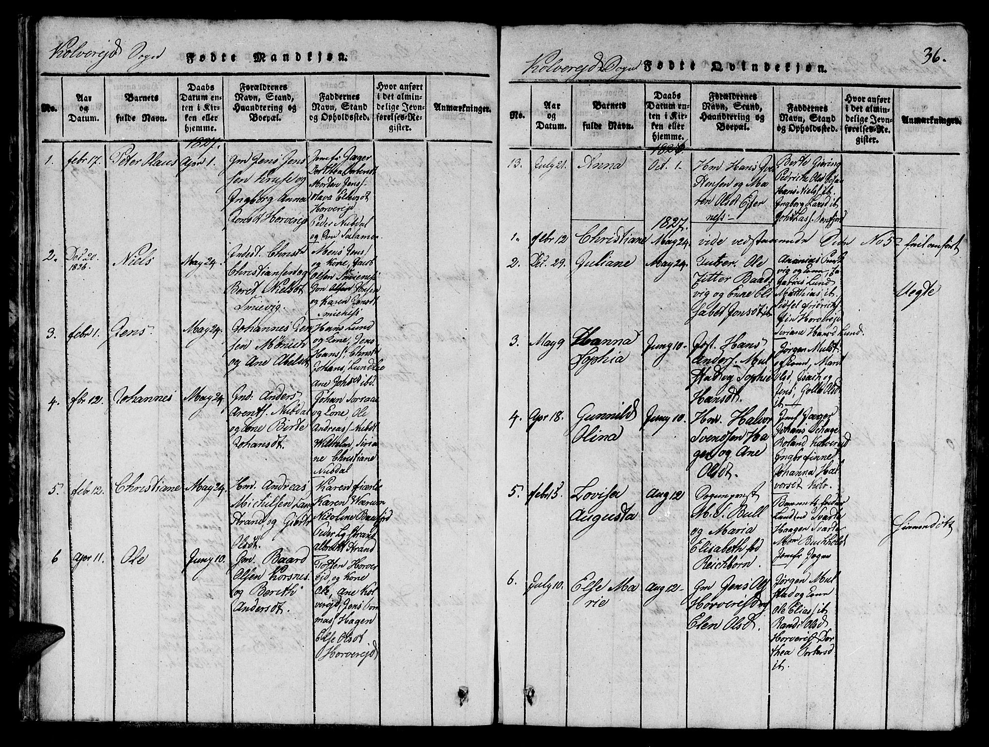 Ministerialprotokoller, klokkerbøker og fødselsregistre - Nord-Trøndelag, SAT/A-1458/780/L0648: Klokkerbok nr. 780C01 /1, 1815-1870, s. 36