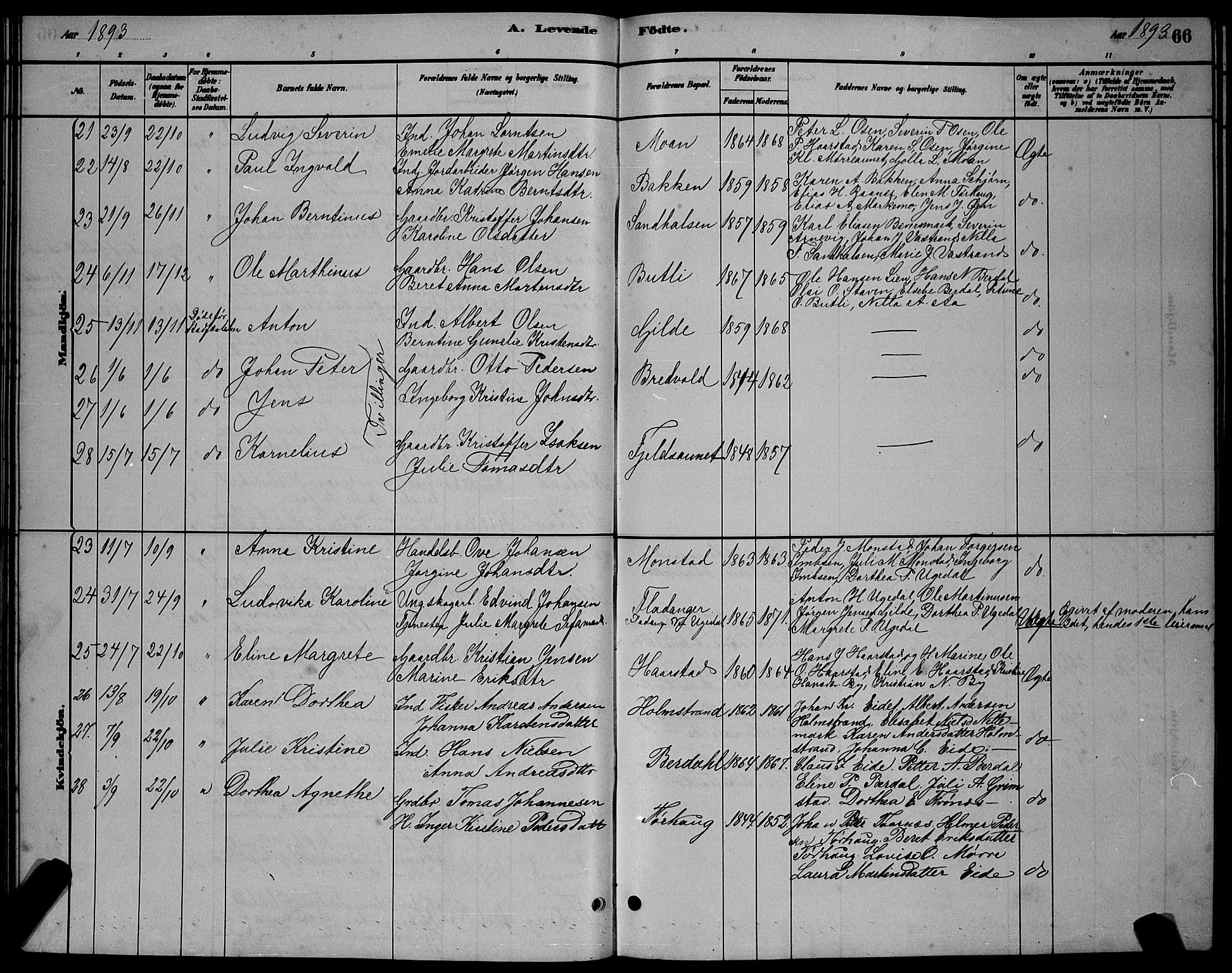 Ministerialprotokoller, klokkerbøker og fødselsregistre - Sør-Trøndelag, SAT/A-1456/655/L0687: Klokkerbok nr. 655C03, 1880-1898, s. 66