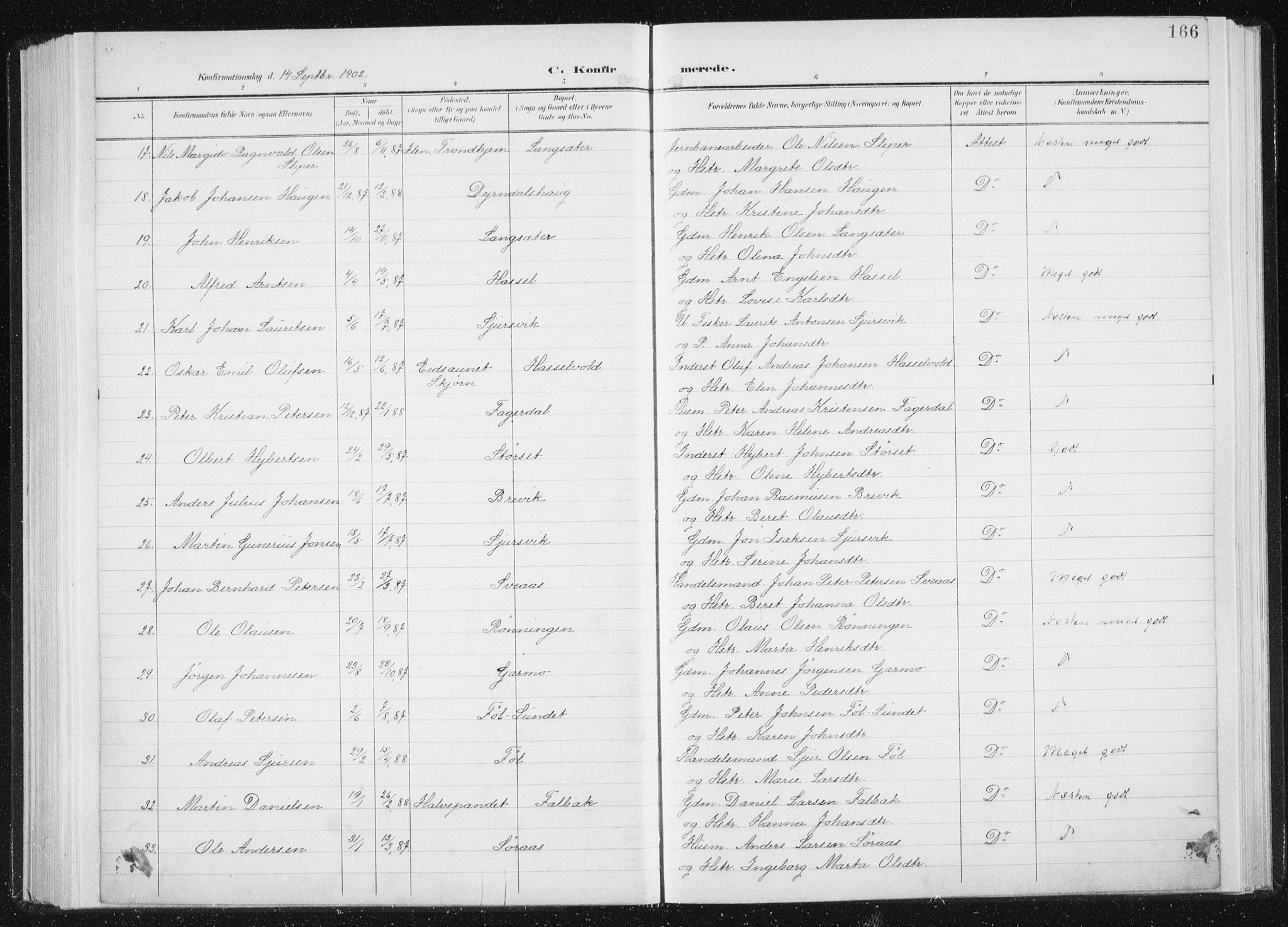 Ministerialprotokoller, klokkerbøker og fødselsregistre - Sør-Trøndelag, SAT/A-1456/647/L0635: Ministerialbok nr. 647A02, 1896-1911, s. 166