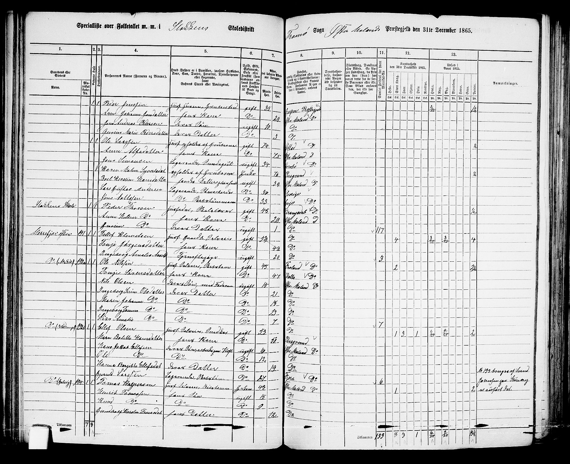 RA, Folketelling 1865 for 0918P Austre Moland prestegjeld, 1865, s. 126