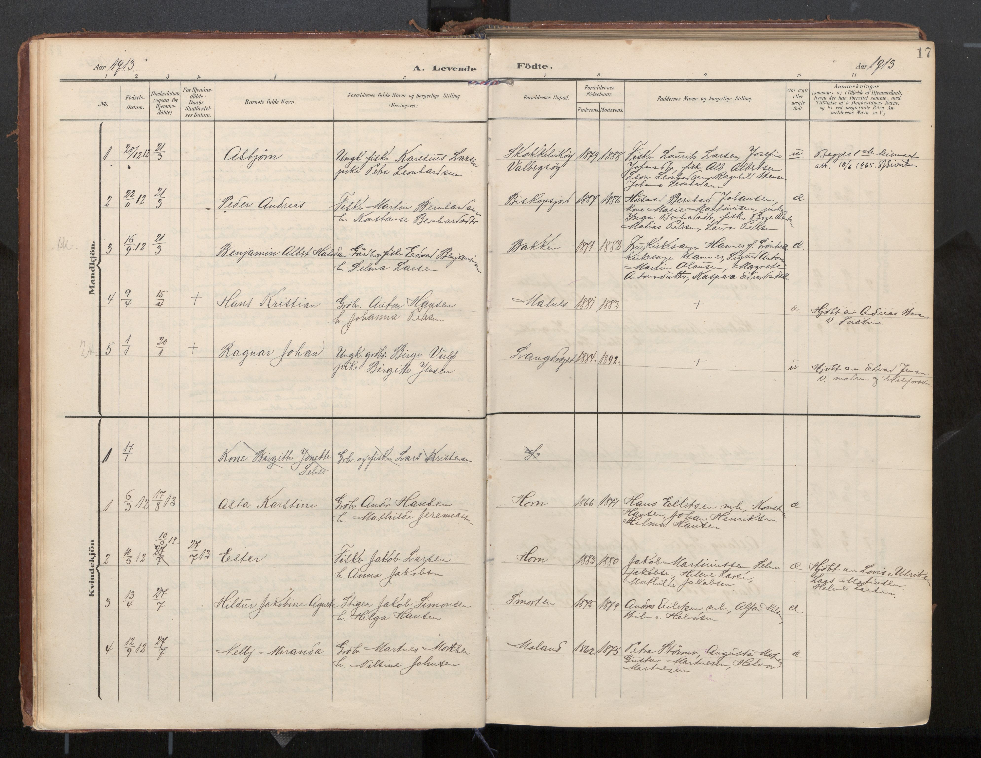 Ministerialprotokoller, klokkerbøker og fødselsregistre - Nordland, AV/SAT-A-1459/884/L1194: Ministerialbok nr. 884A02, 1906-1937, s. 17