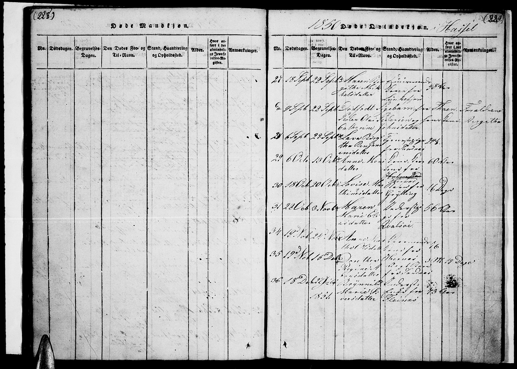 Ministerialprotokoller, klokkerbøker og fødselsregistre - Nordland, AV/SAT-A-1459/888/L1263: Klokkerbok nr. 888C02 /1, 1820-1850, s. 228-229