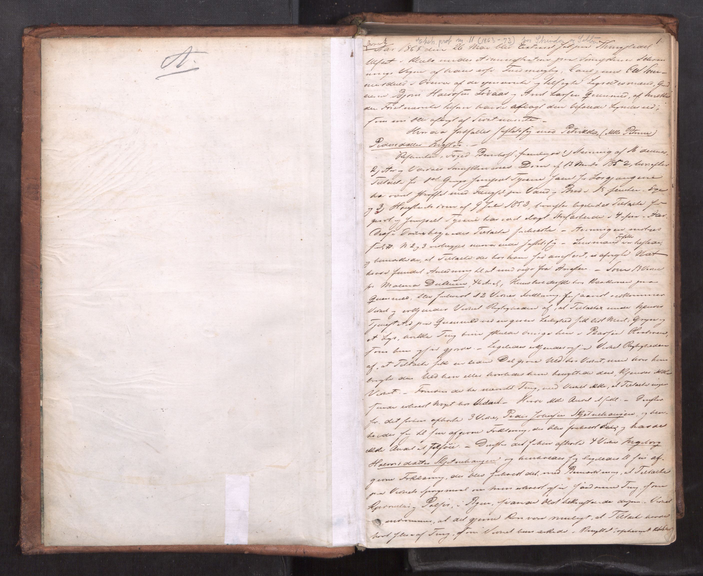 Strinda og Selbu sorenskriveri, AV/SAT-A-0015/1/1B/L0011: Ekstrarettsprot. 9, 1863-1873, s. 1a