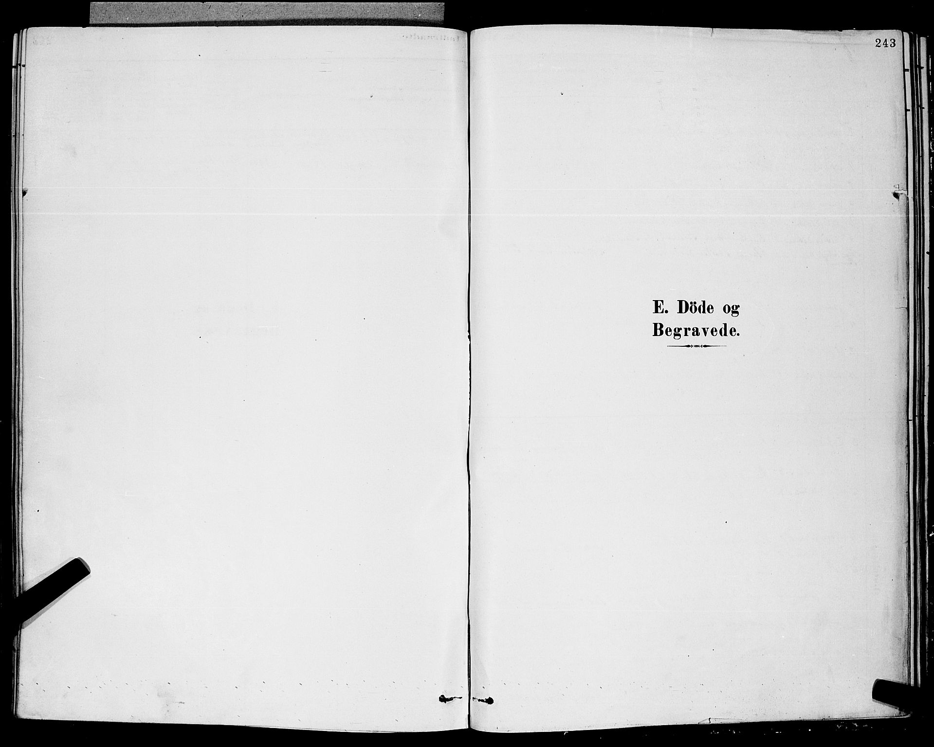 Eidanger kirkebøker, SAKO/A-261/G/Ga/L0002: Klokkerbok nr. 2, 1879-1892, s. 243