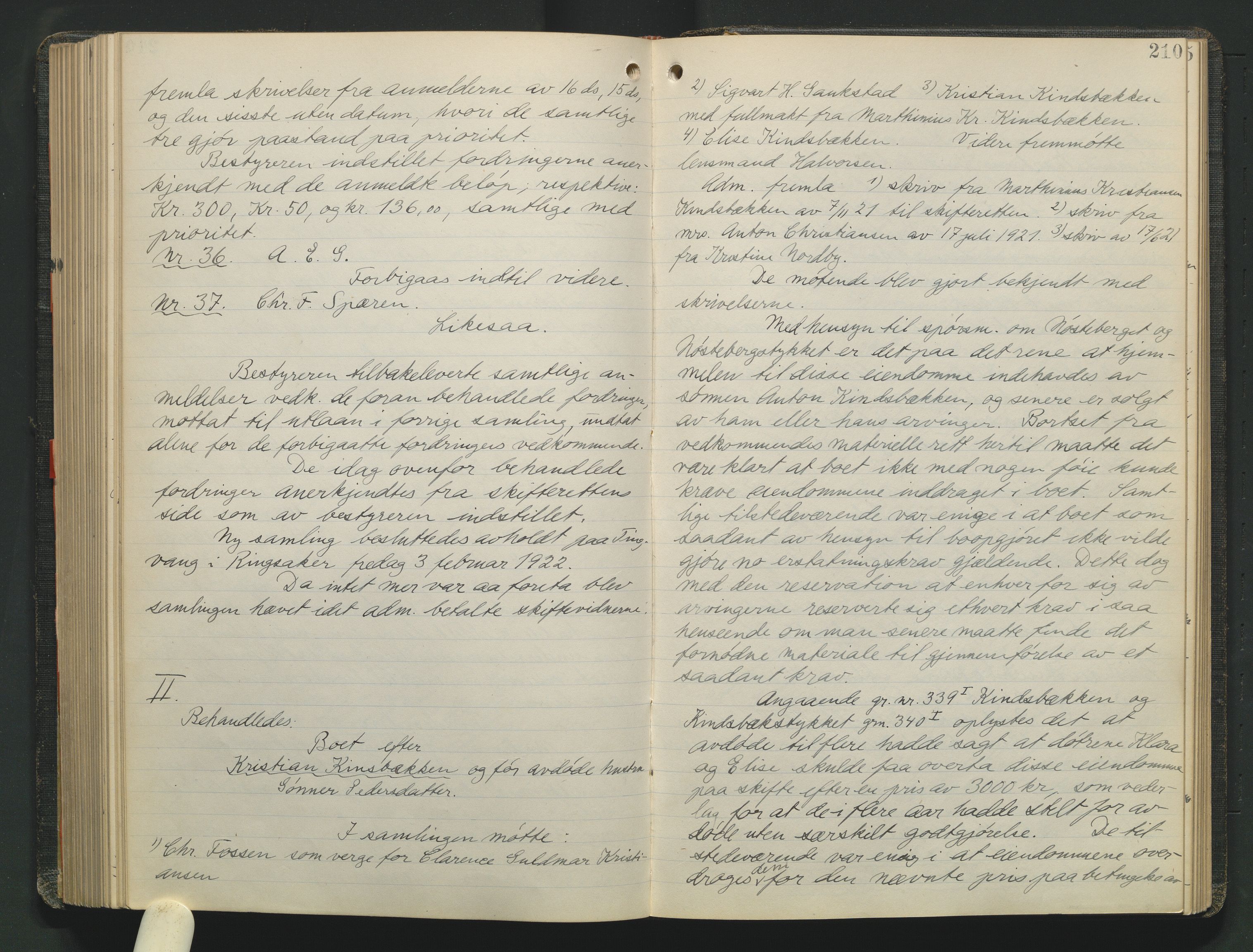 Nord-Hedmark sorenskriveri, AV/SAH-TING-012/J/Jc/Jca/L0006: Skifteforhandlingsprotokoll, 1917-1922, s. 209b-210a