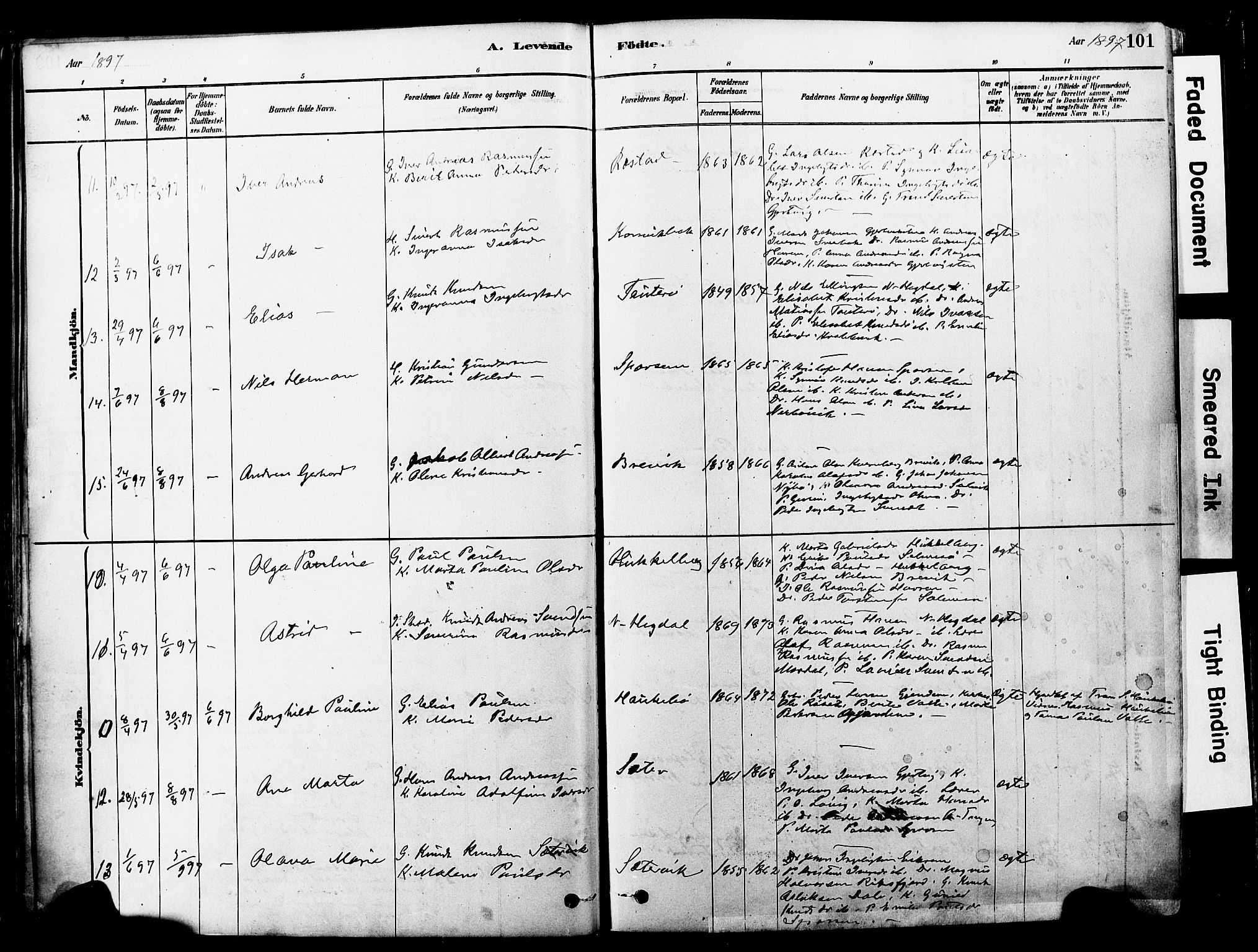 Ministerialprotokoller, klokkerbøker og fødselsregistre - Møre og Romsdal, SAT/A-1454/560/L0721: Ministerialbok nr. 560A05, 1878-1917, s. 101