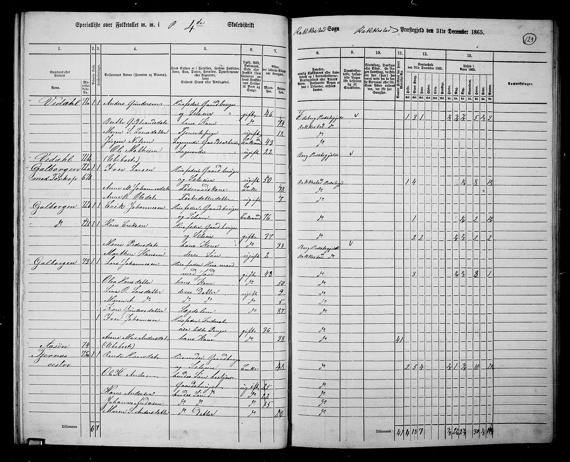 RA, Folketelling 1865 for 0128P Rakkestad prestegjeld, 1865, s. 121