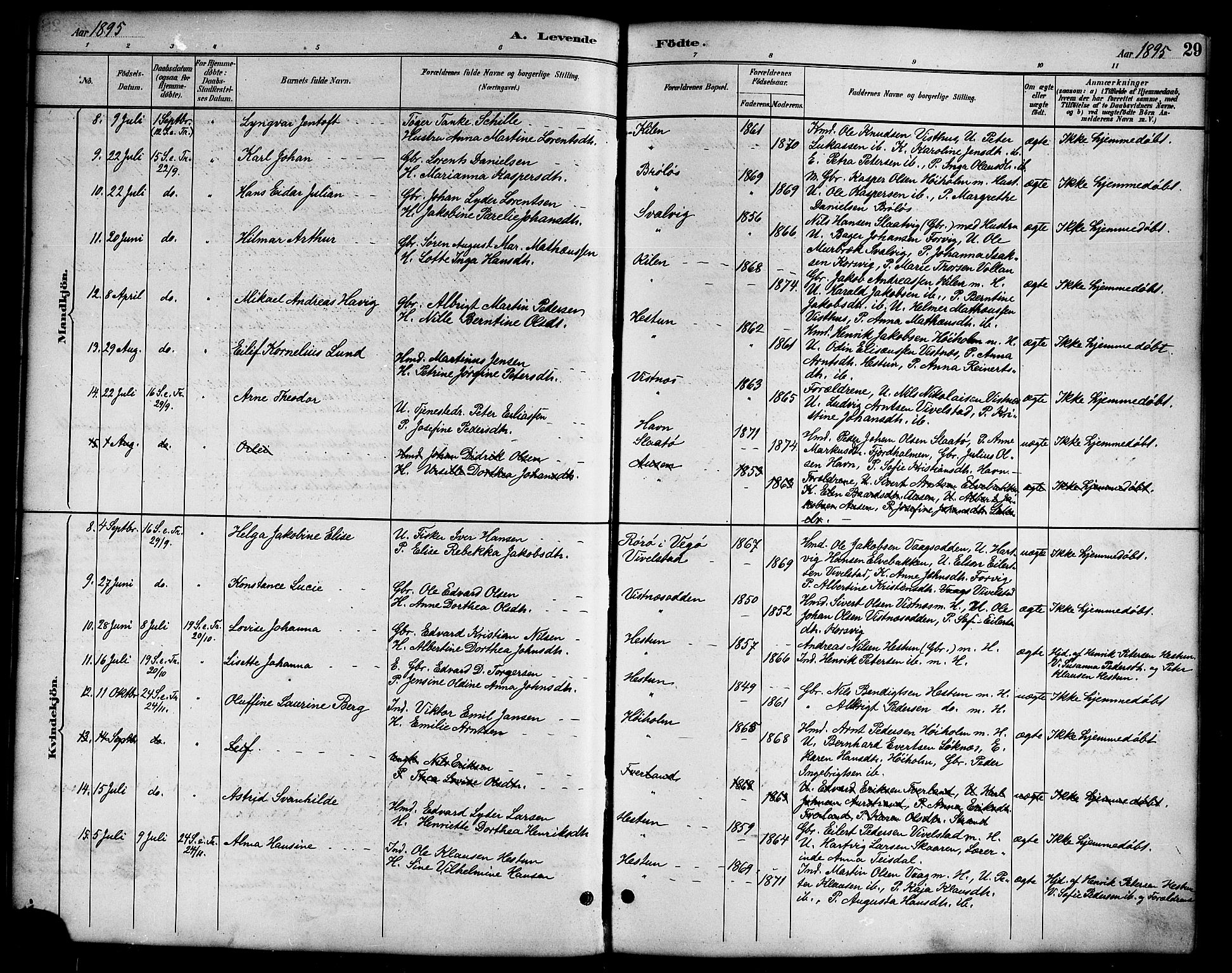 Ministerialprotokoller, klokkerbøker og fødselsregistre - Nordland, AV/SAT-A-1459/819/L0277: Klokkerbok nr. 819C03, 1888-1917, s. 29