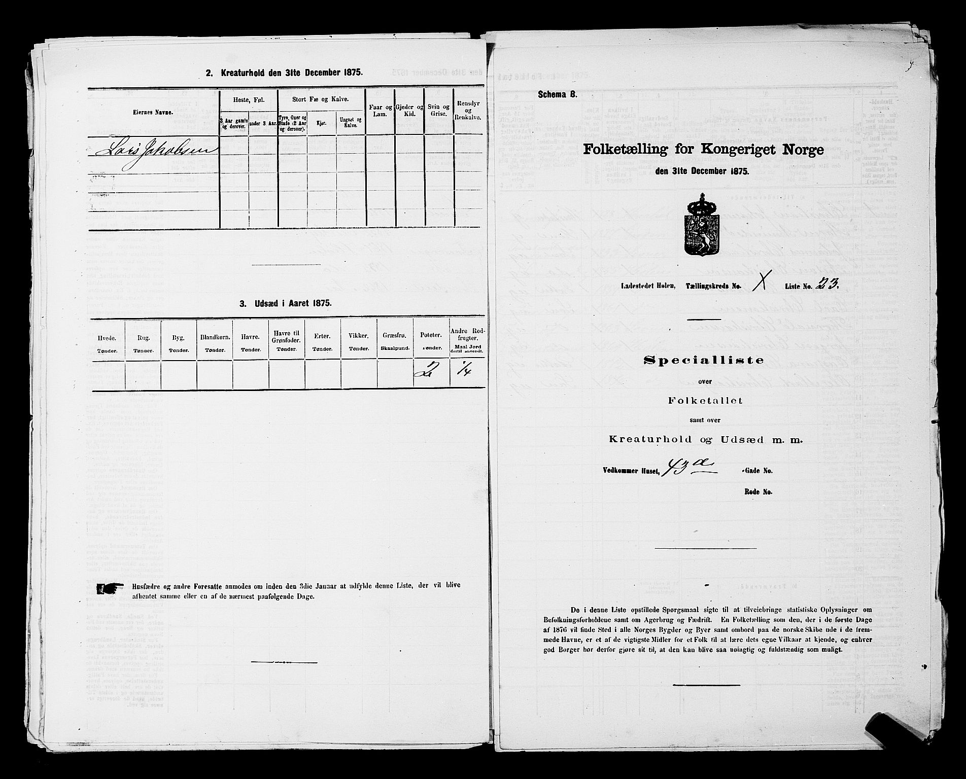 RA, Folketelling 1875 for 0204B Vestby prestegjeld, Hølen ladested, 1875, s. 30