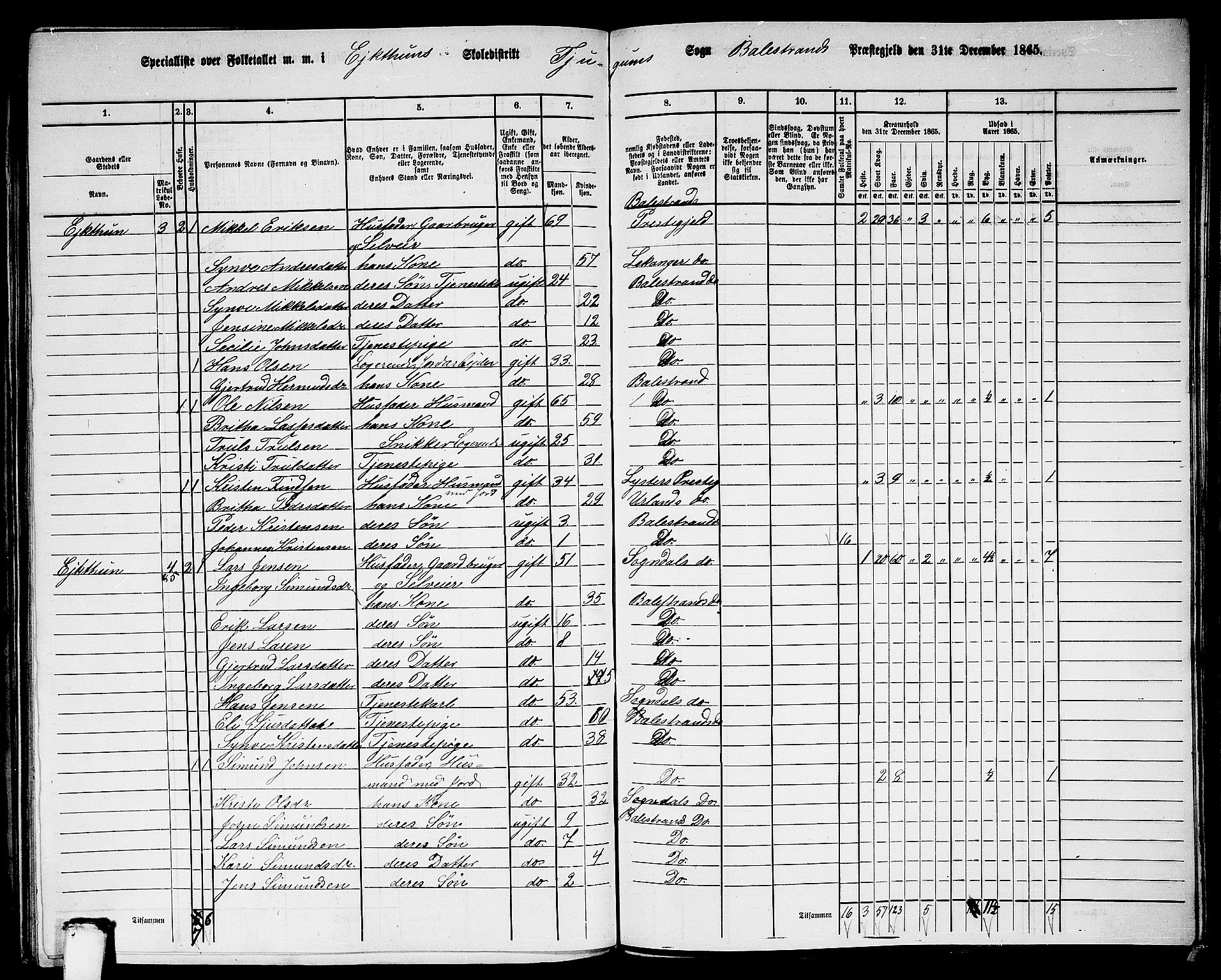 RA, Folketelling 1865 for 1418P Balestrand prestegjeld, 1865, s. 49