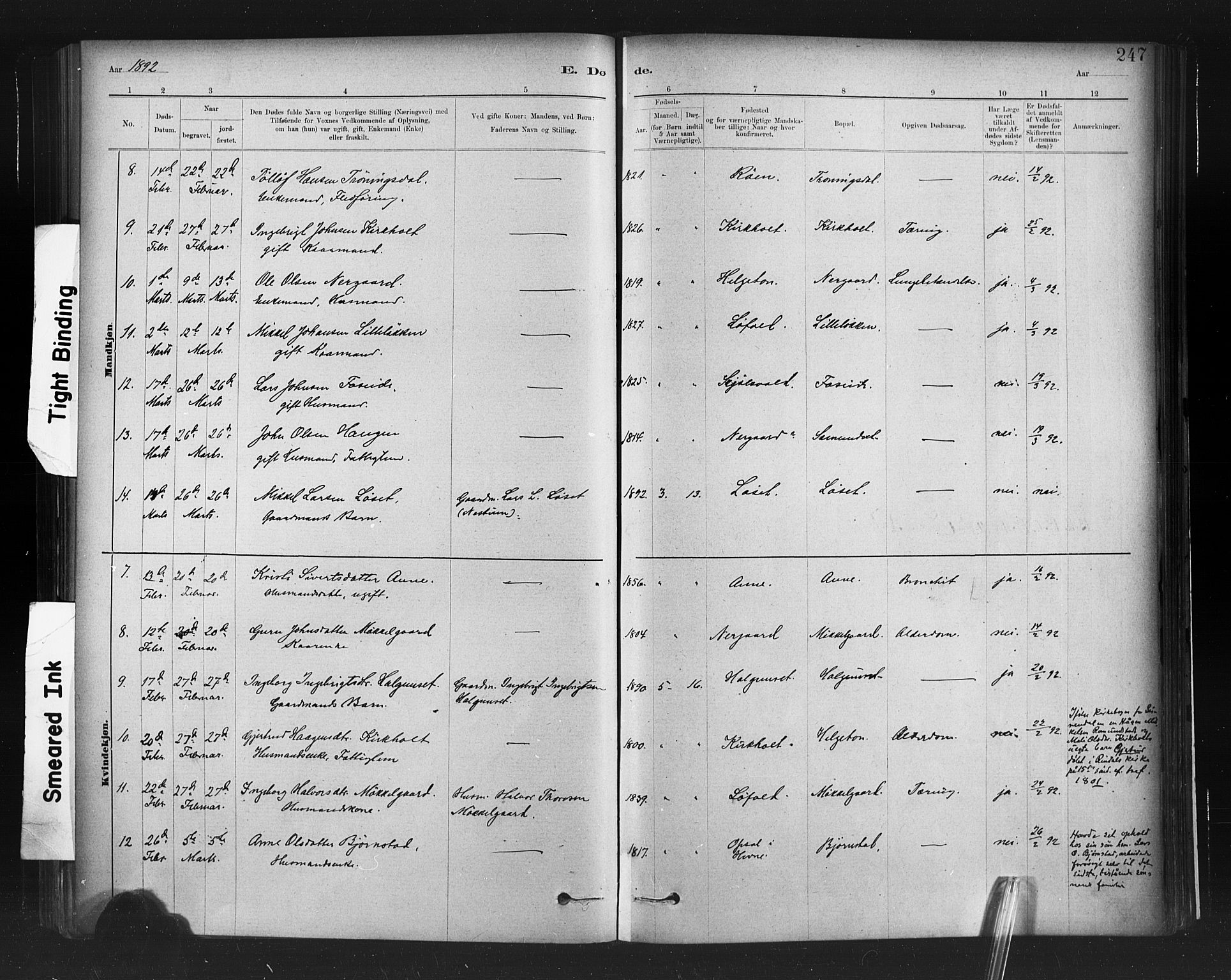 Ministerialprotokoller, klokkerbøker og fødselsregistre - Møre og Romsdal, SAT/A-1454/598/L1069: Ministerialbok nr. 598A03, 1882-1895, s. 247