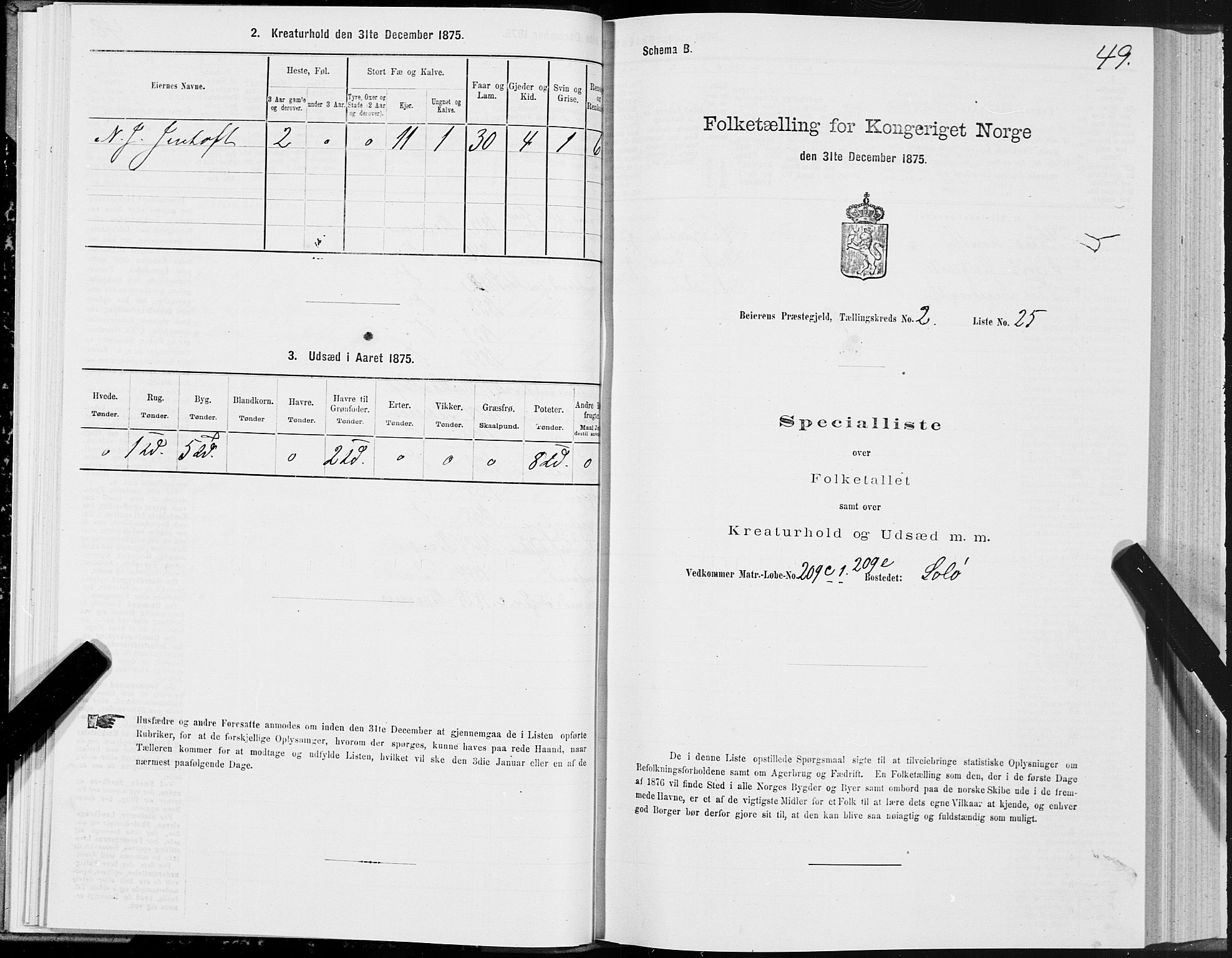 SAT, Folketelling 1875 for 1839P Beiarn prestegjeld, 1875, s. 2049