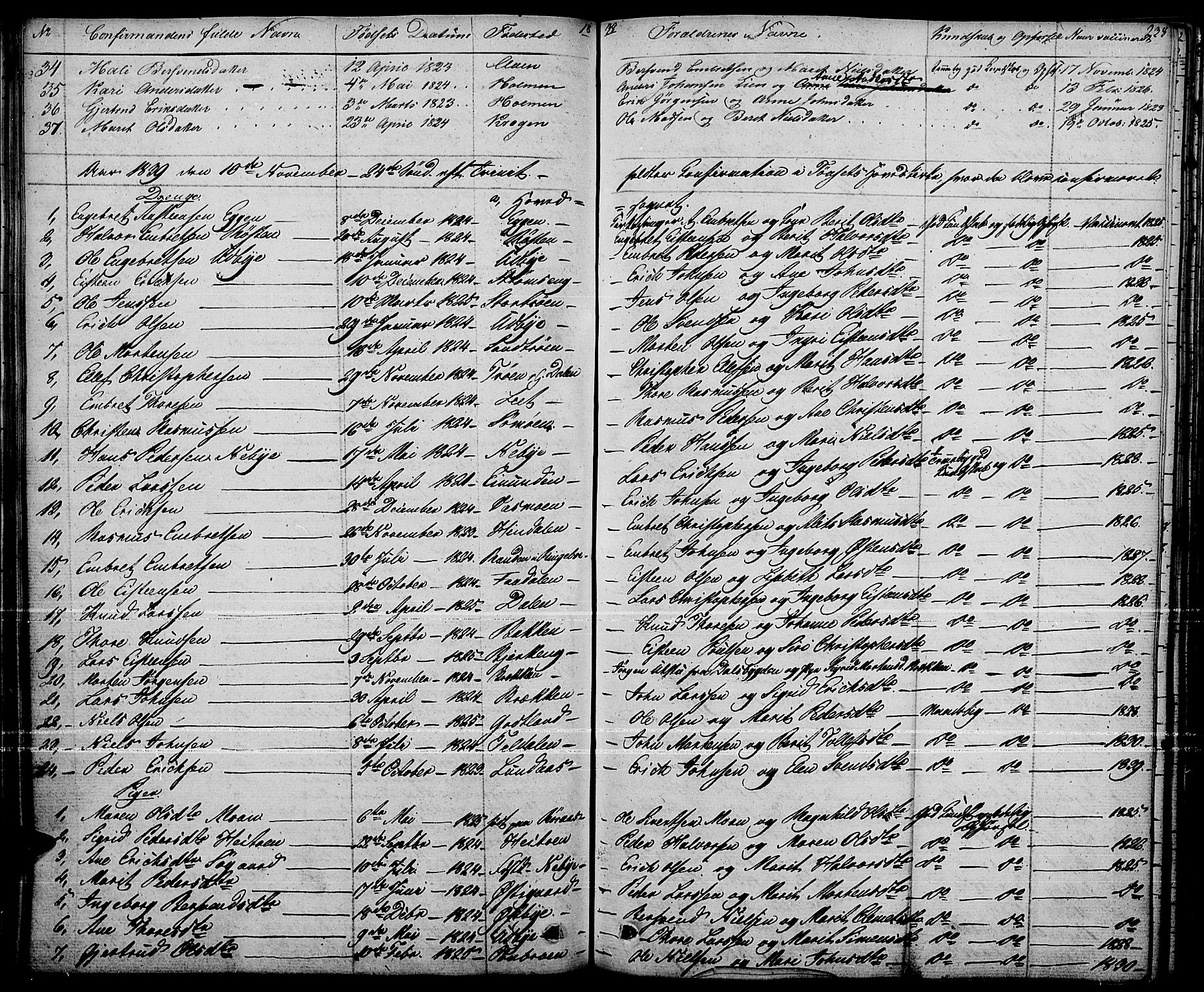 Tynset prestekontor, AV/SAH-PREST-058/H/Ha/Haa/L0019: Ministerialbok nr. 19, 1829-1847, s. 238