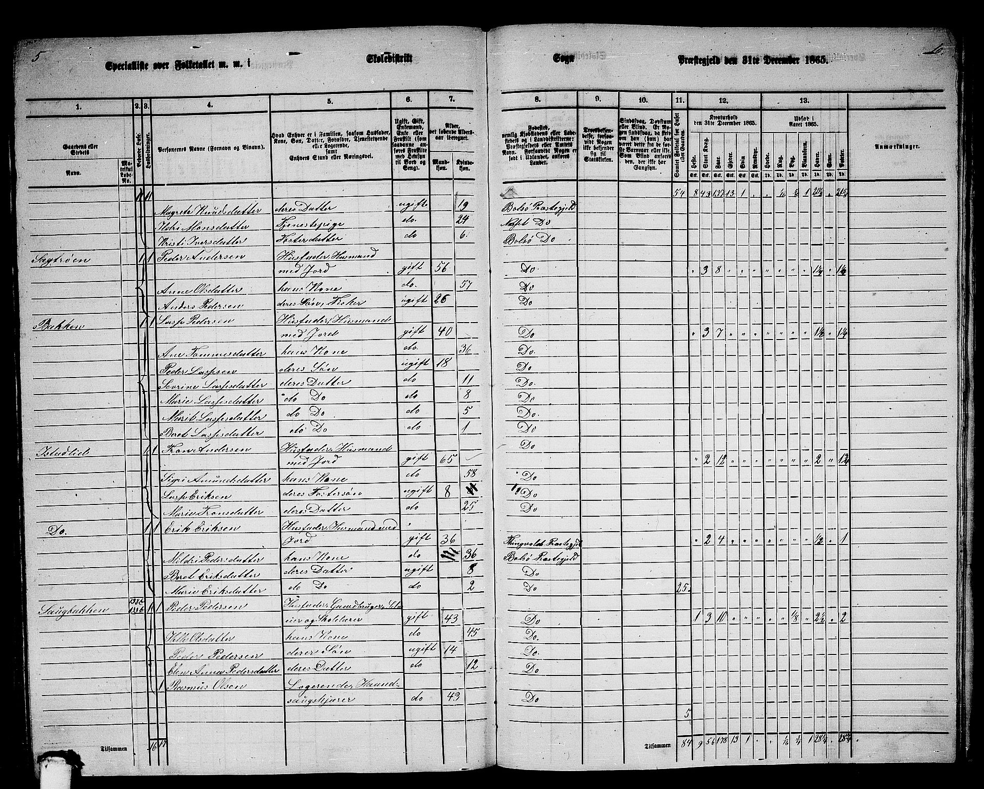 RA, Folketelling 1865 for 1544P Bolsøy prestegjeld, 1865, s. 113