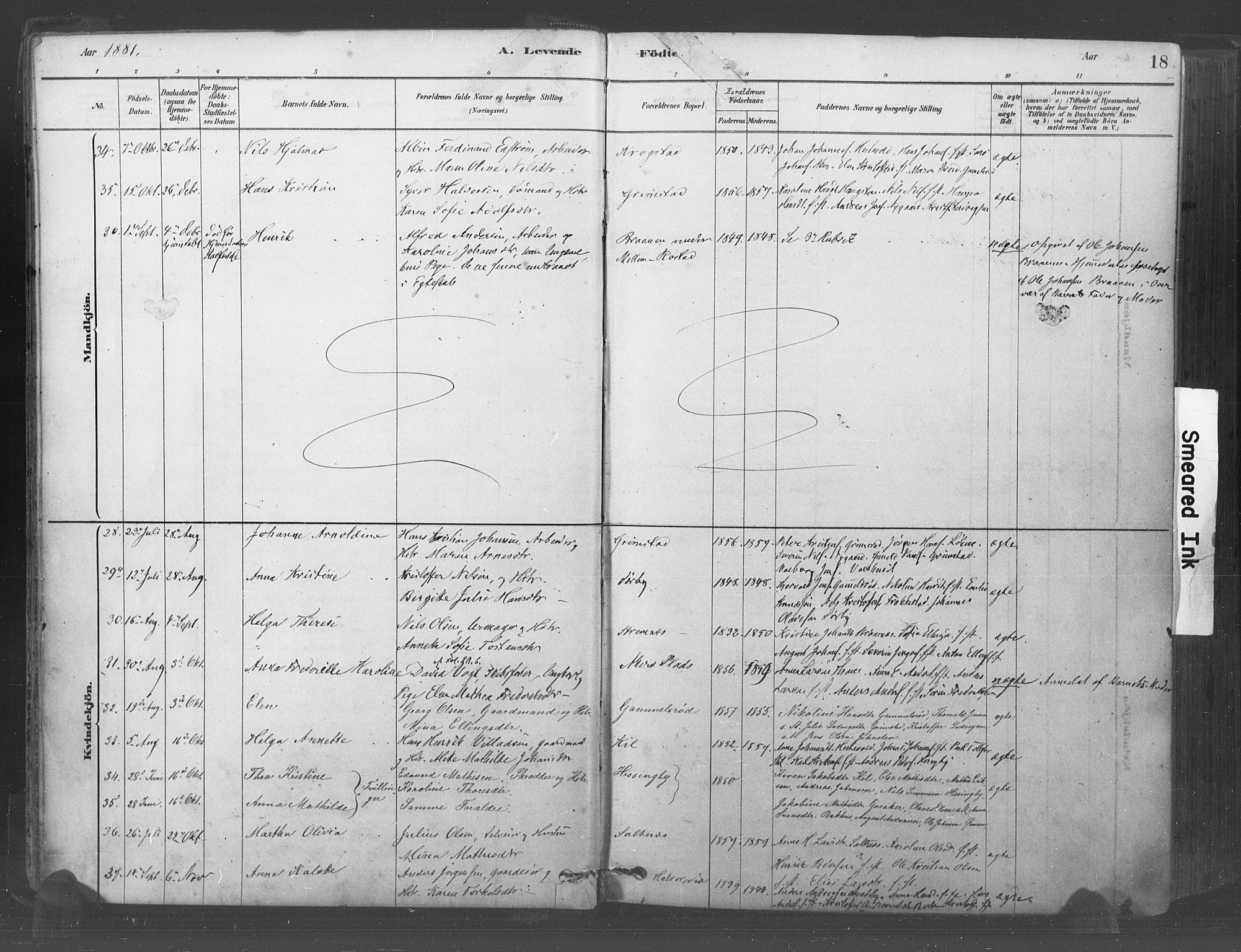 Råde prestekontor kirkebøker, AV/SAO-A-2009/F/Fa/L0007: Ministerialbok nr. 7, 1878-1902, s. 18