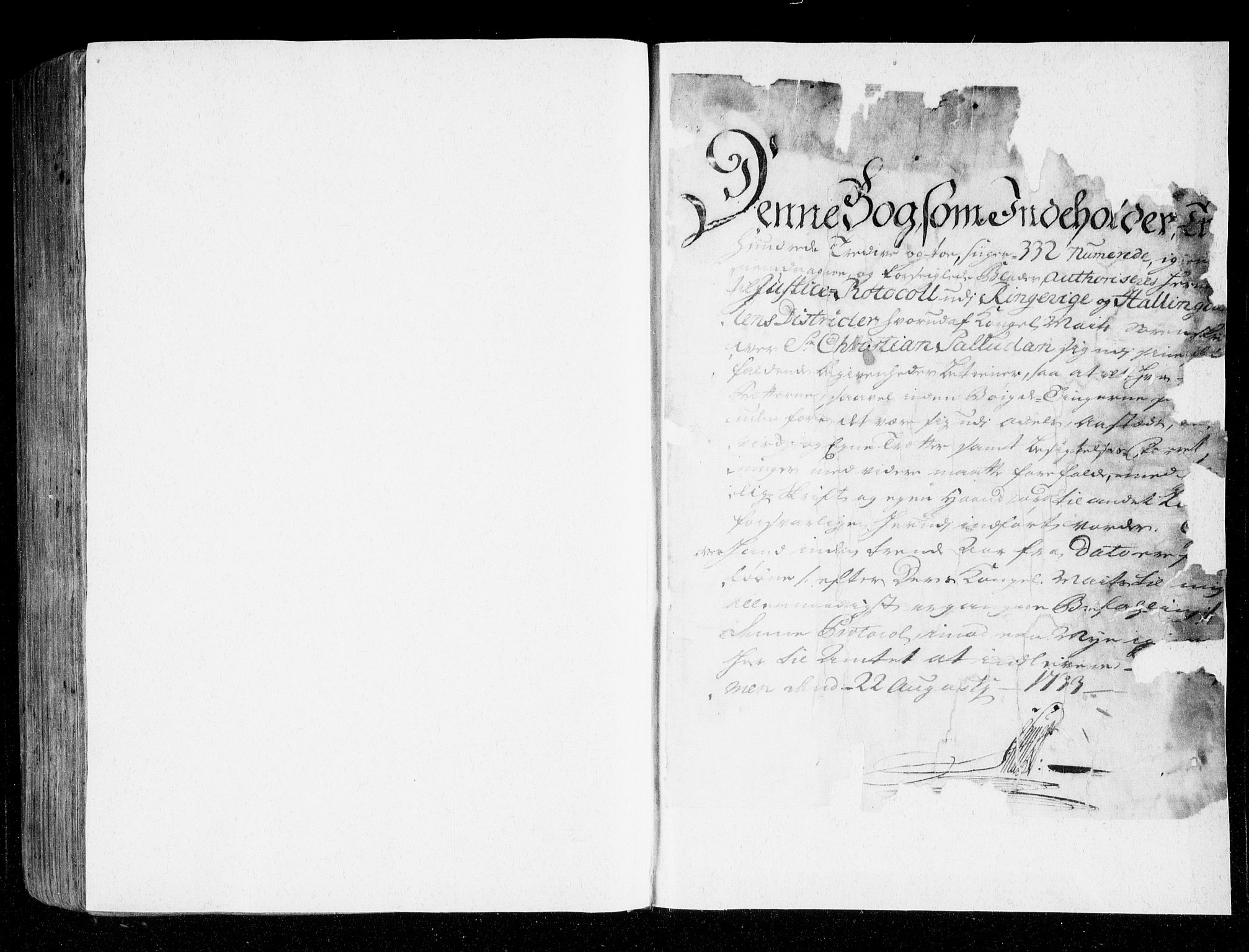 Ringerike og Hallingdal sorenskriveri, SAKO/A-81/F/Fa/Faa/L0035: Tingbok, 1733-1735