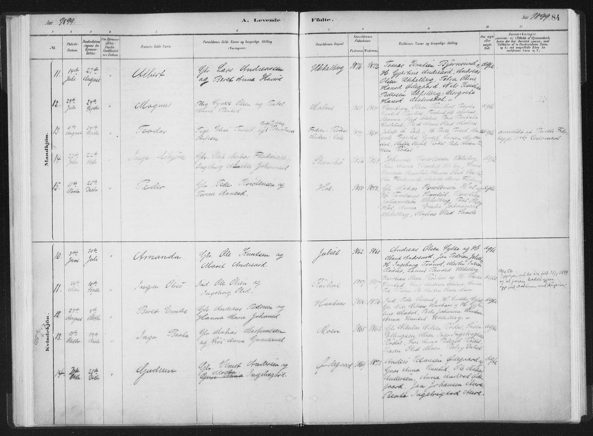 Ministerialprotokoller, klokkerbøker og fødselsregistre - Møre og Romsdal, AV/SAT-A-1454/564/L0740: Ministerialbok nr. 564A01, 1880-1899, s. 84