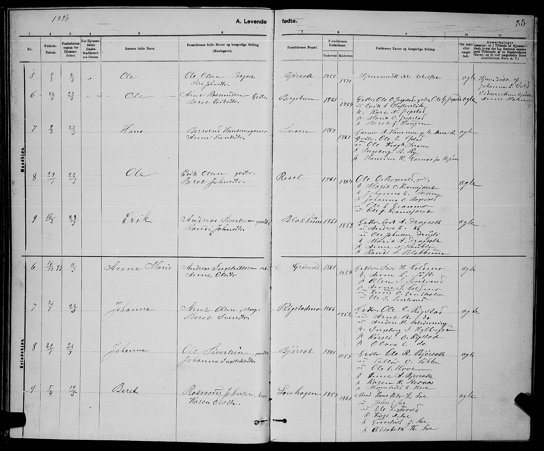 Ministerialprotokoller, klokkerbøker og fødselsregistre - Sør-Trøndelag, SAT/A-1456/672/L0863: Klokkerbok nr. 672C02, 1888-1901, s. 55