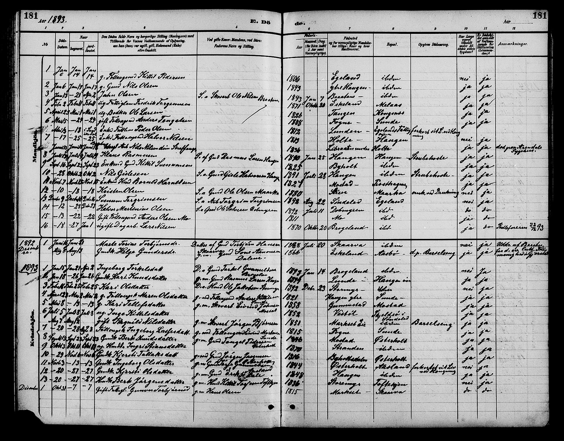 Gjerstad sokneprestkontor, SAK/1111-0014/F/Fb/Fba/L0007: Klokkerbok nr. B 7, 1891-1908, s. 181