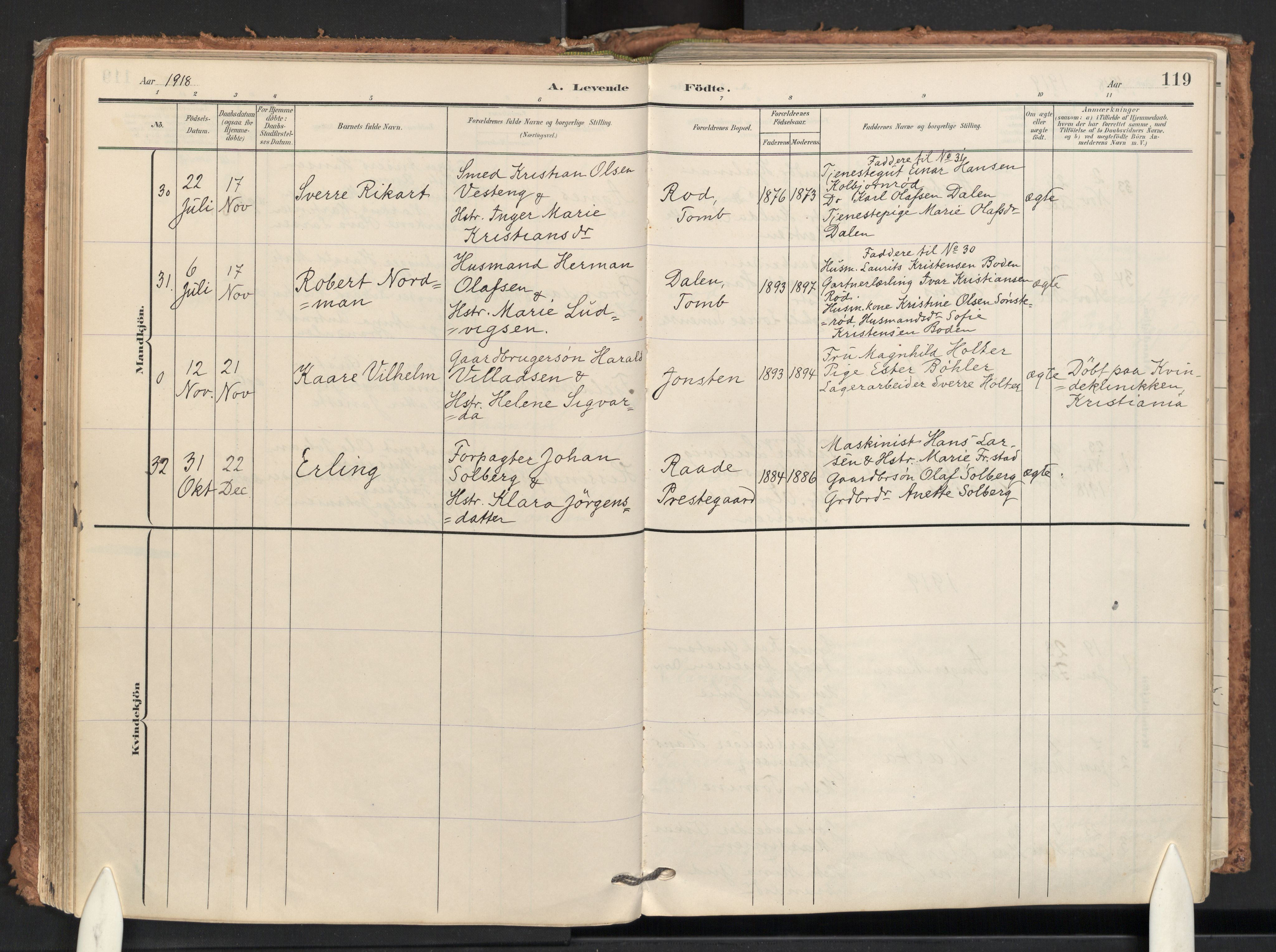 Råde prestekontor kirkebøker, AV/SAO-A-2009/F/Fa/L0008: Ministerialbok nr. 8, 1903-1924, s. 119