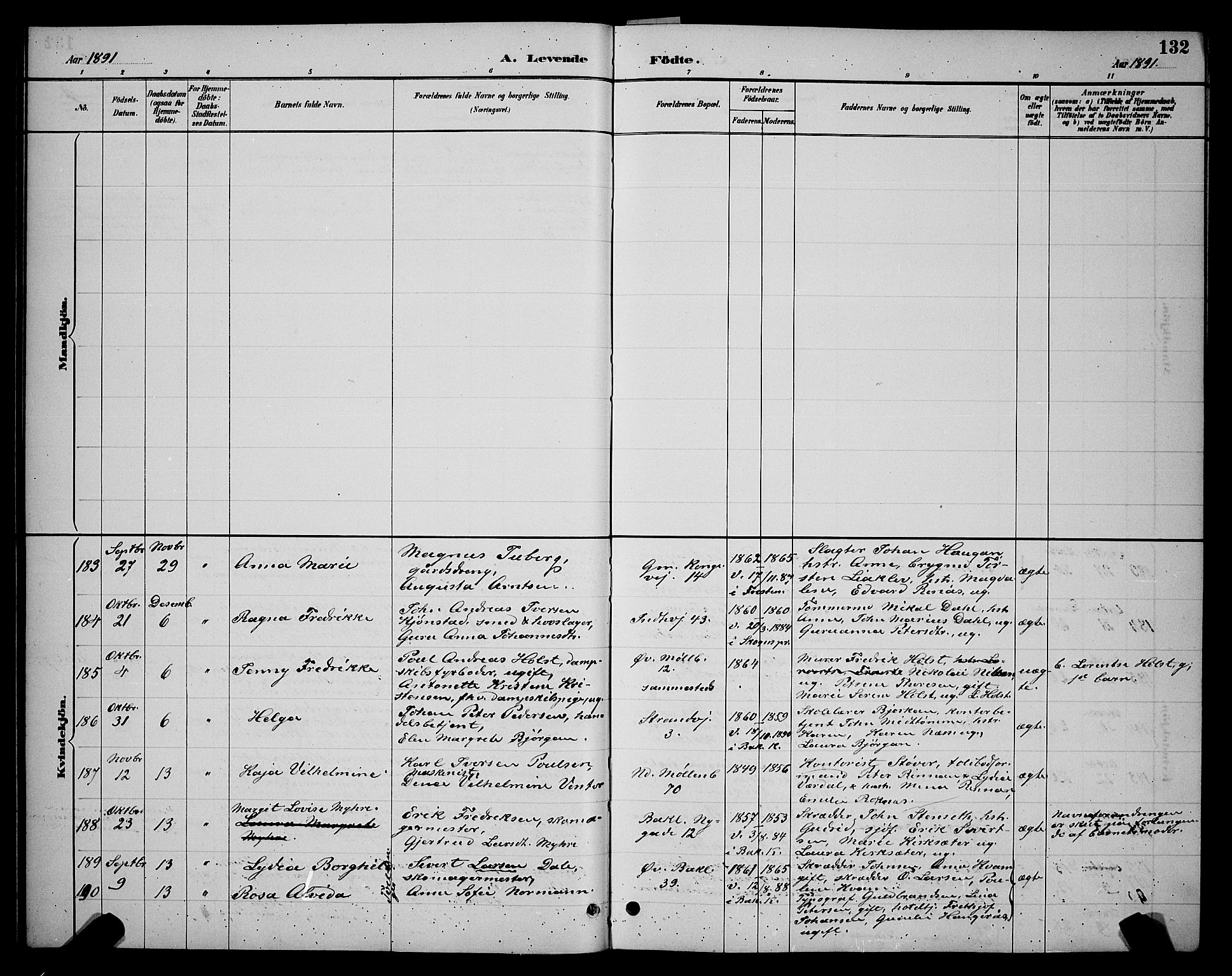 Ministerialprotokoller, klokkerbøker og fødselsregistre - Sør-Trøndelag, SAT/A-1456/604/L0222: Klokkerbok nr. 604C05, 1886-1895, s. 132