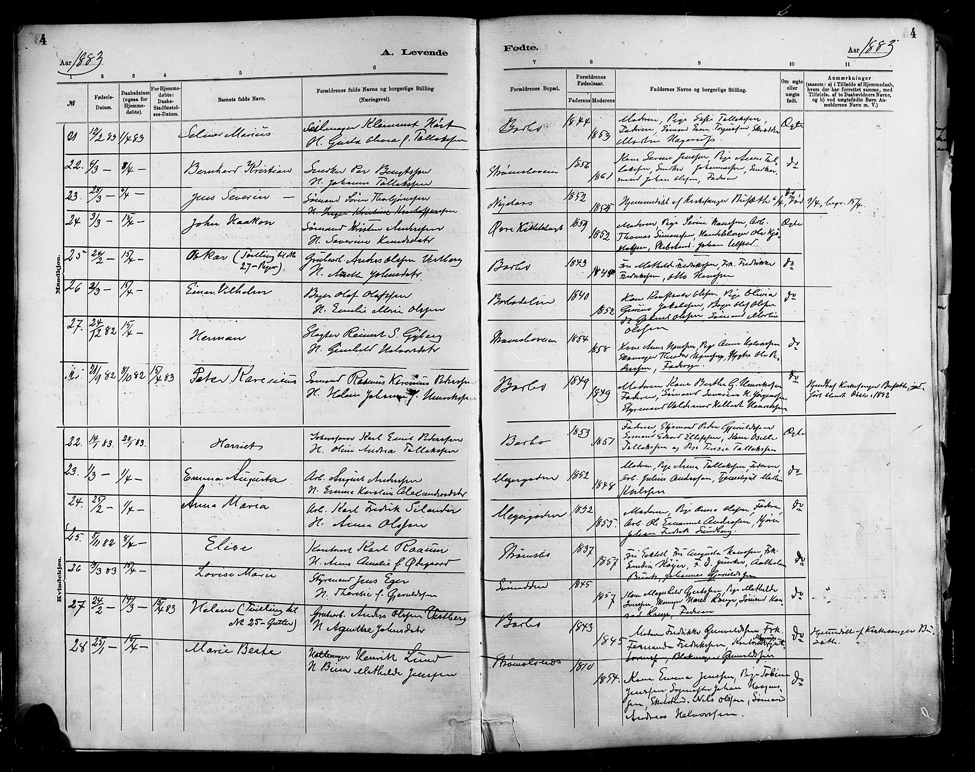 Barbu sokneprestkontor, AV/SAK-1111-0003/F/Fa/L0002: Ministerialbok nr. A 2, 1883-1898, s. 4