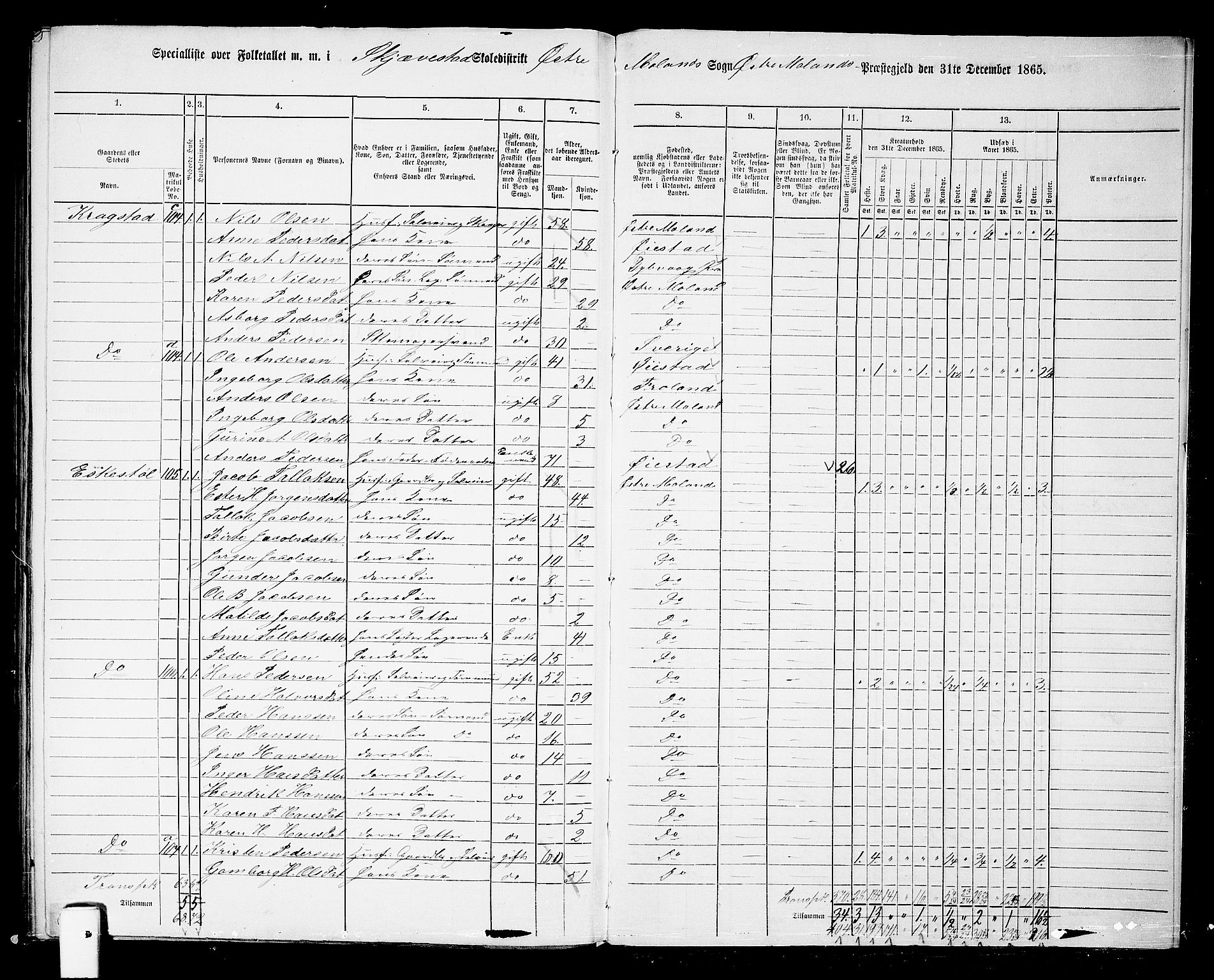 RA, Folketelling 1865 for 0918P Austre Moland prestegjeld, 1865, s. 322