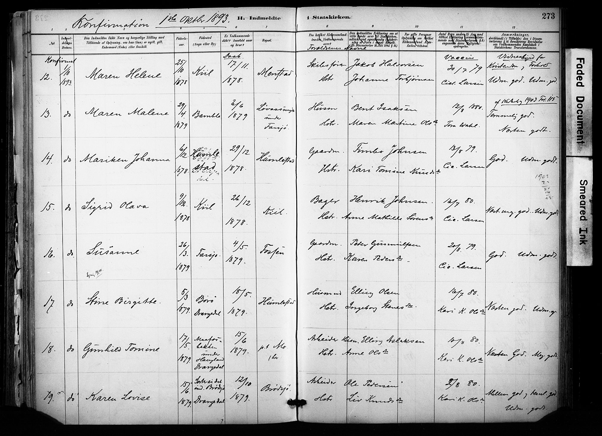 Sannidal kirkebøker, AV/SAKO-A-296/F/Fa/L0015: Ministerialbok nr. 15, 1884-1899, s. 273