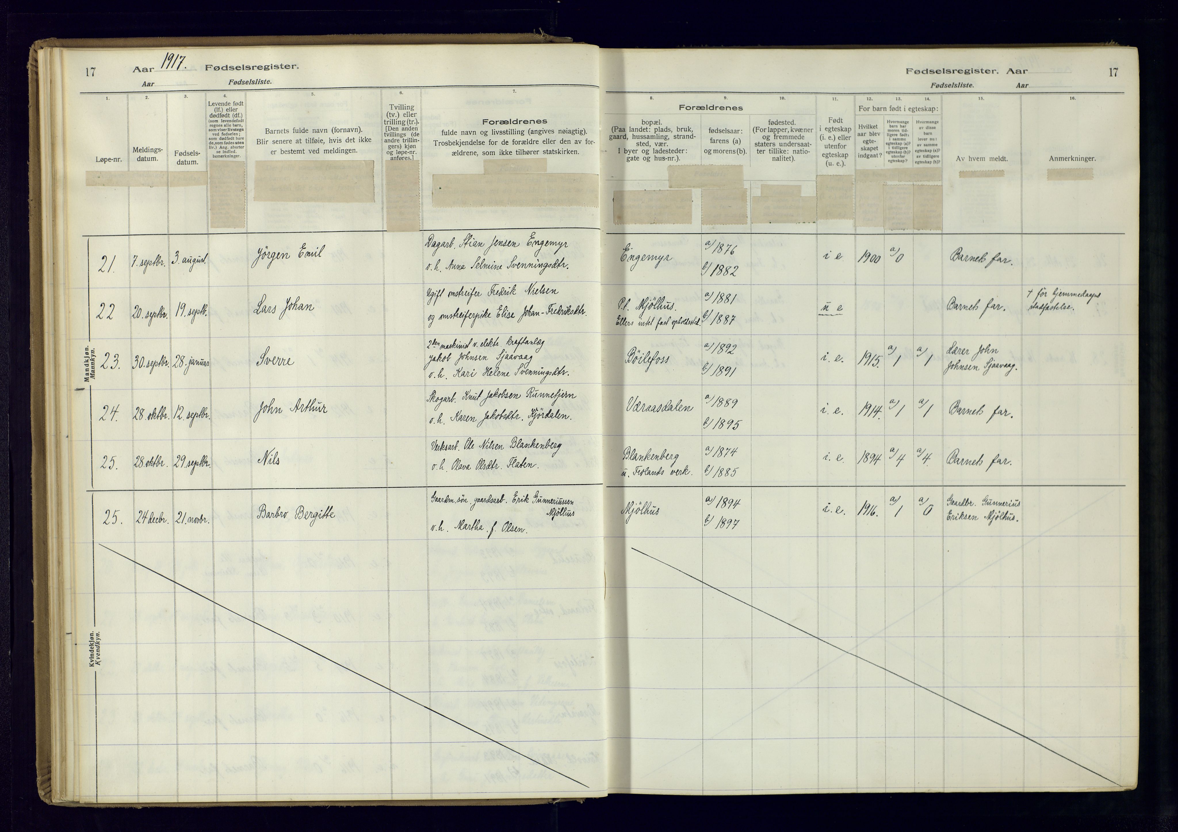 Froland sokneprestkontor, AV/SAK-1111-0013/J/Ja/L0001: Fødselsregister nr. 1, 1916-1950, s. 17