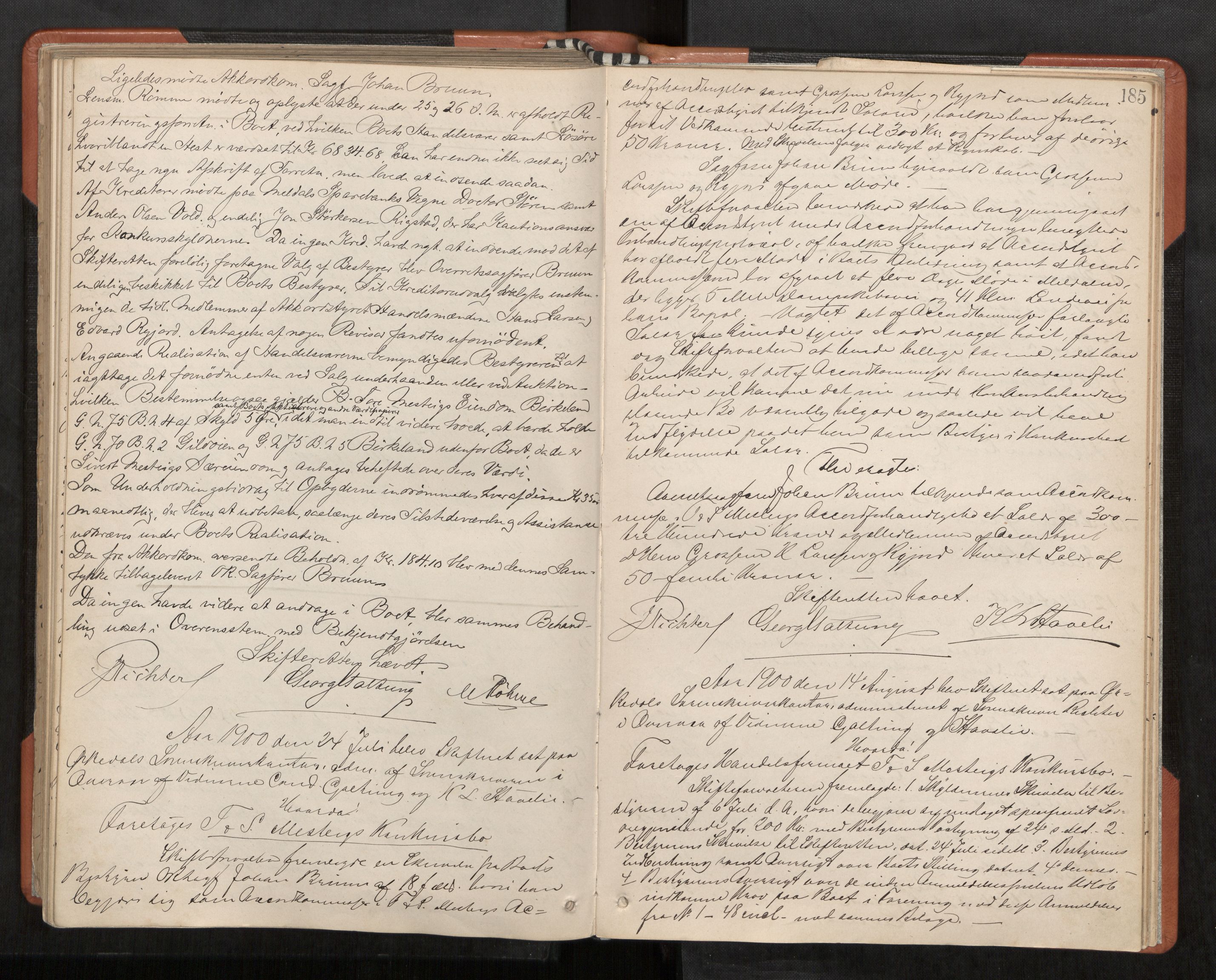Orkdal sorenskriveri, AV/SAT-A-4169/1/3/3B/L0009: Skiftebehandlingsprotokoll, 1888-1902, s. 185
