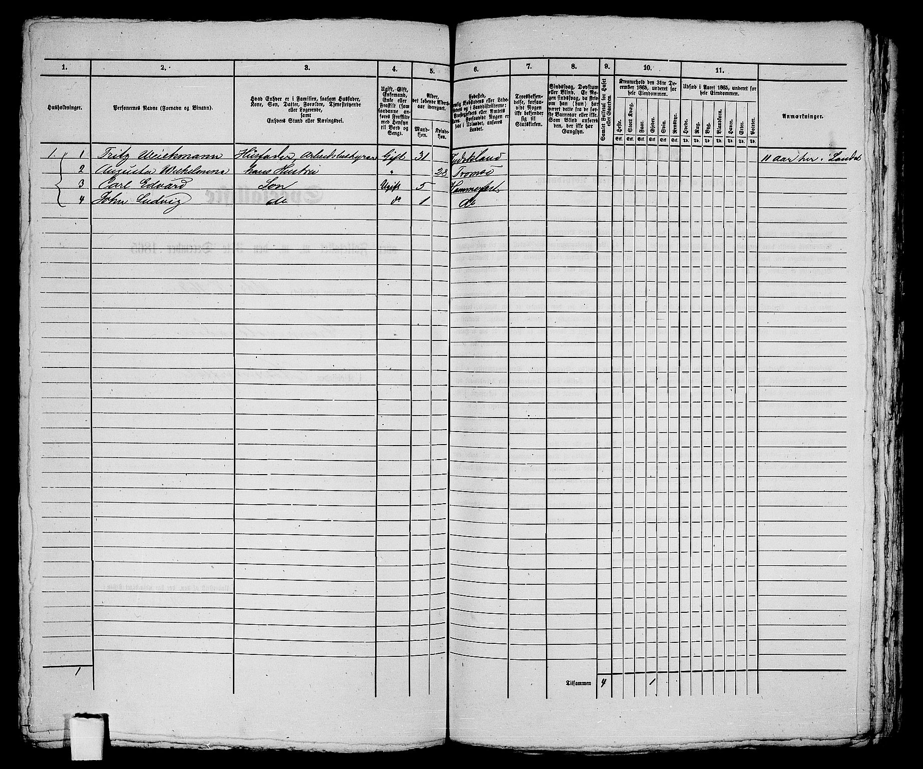 RA, Folketelling 1865 for 2001B Hammerfest prestegjeld, Hammerfest kjøpstad, 1865, s. 256