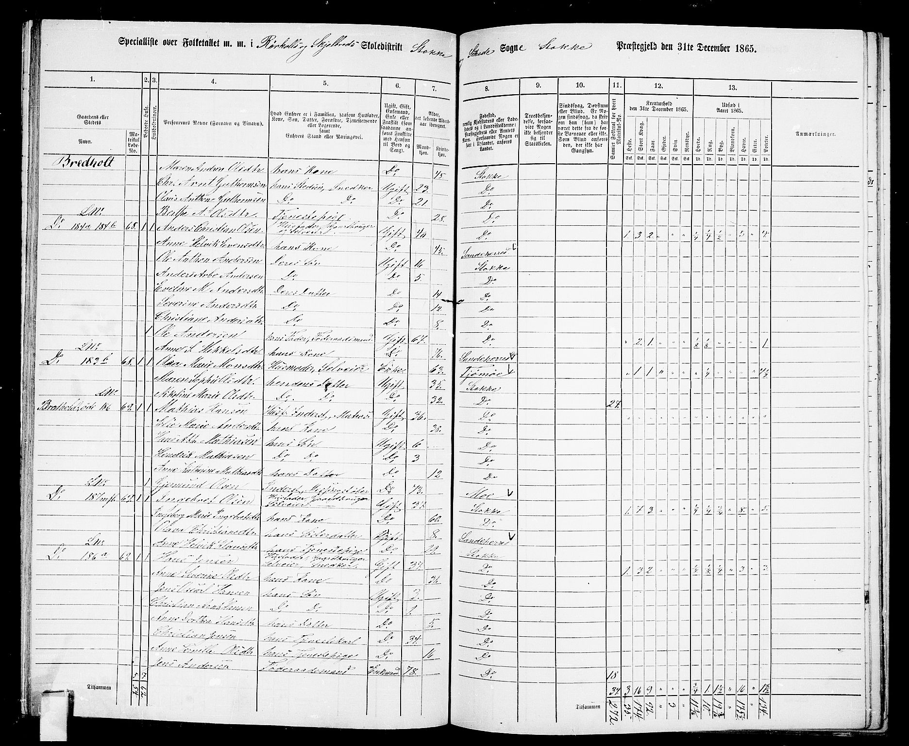 RA, Folketelling 1865 for 0720P Stokke prestegjeld, 1865, s. 114