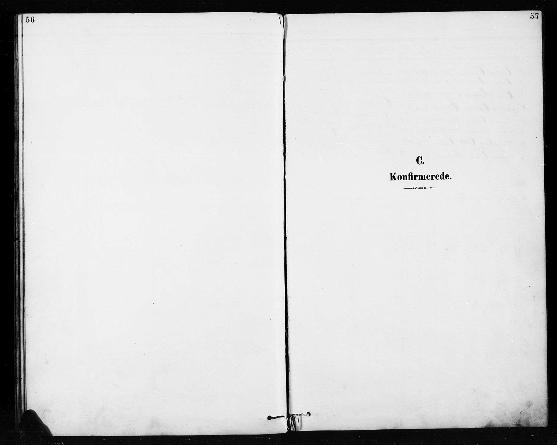 Etnedal prestekontor, AV/SAH-PREST-130/H/Ha/Hab/Habb/L0001: Klokkerbok nr. II 1, 1894-1911, s. 56-57